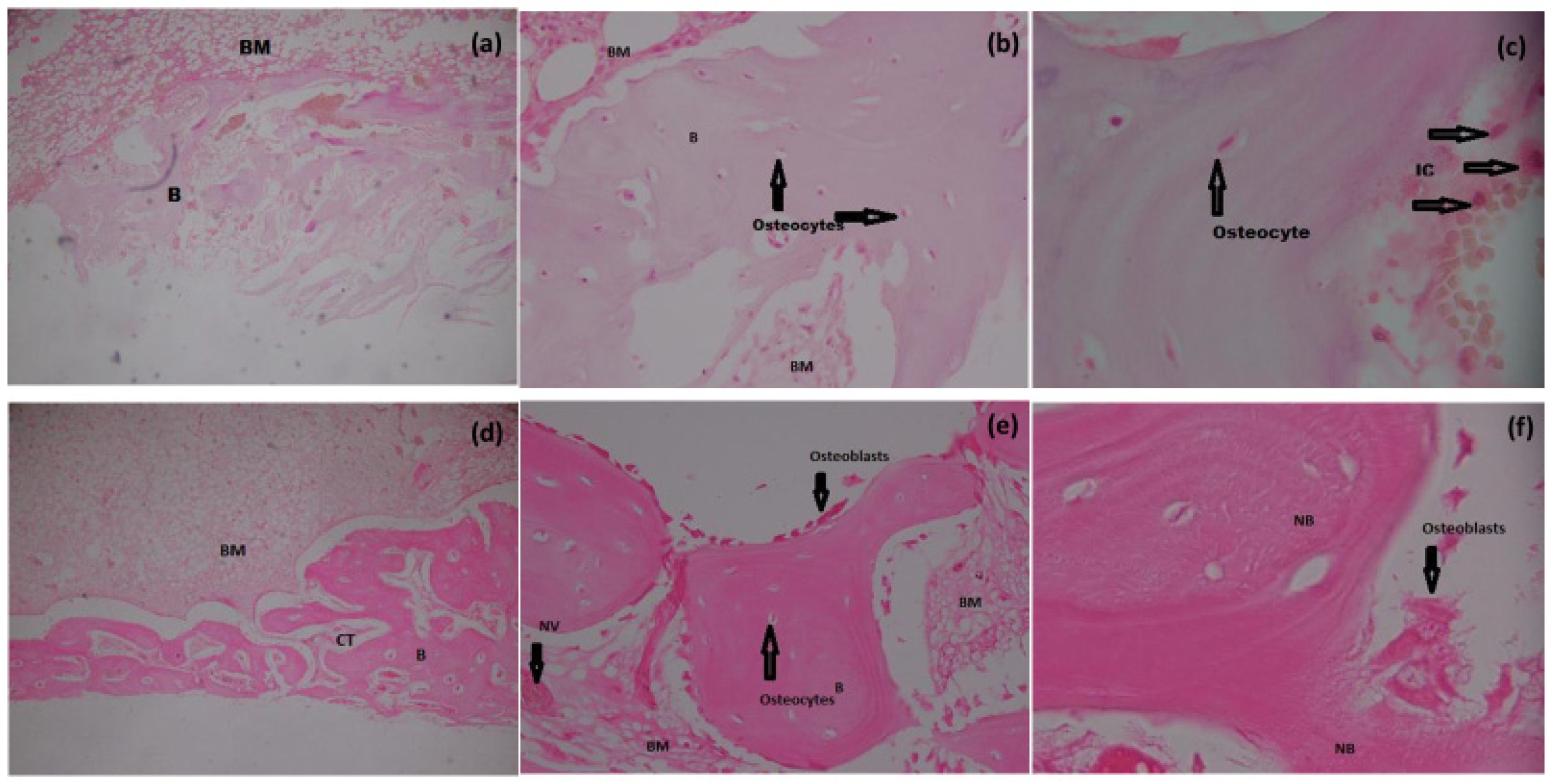 Materials 15 01826 g005 Materials 15 01826 g005