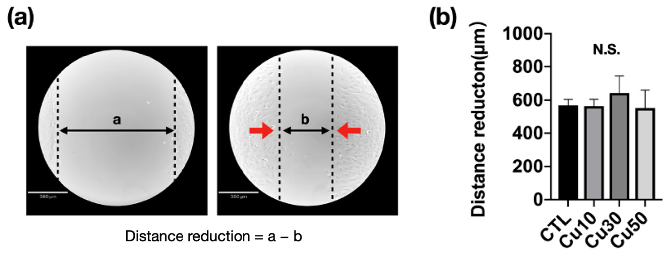 Materials 15 01887 g008