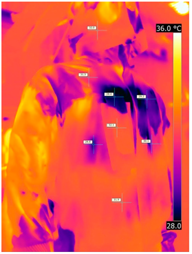 Materials 15 01999 i017