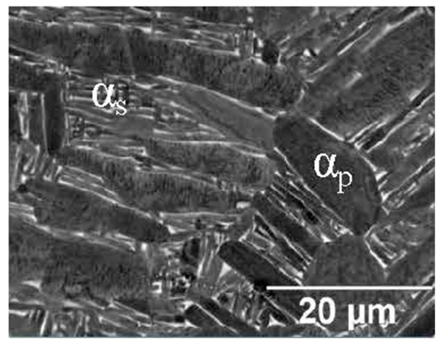 Materials 15 02047 g047