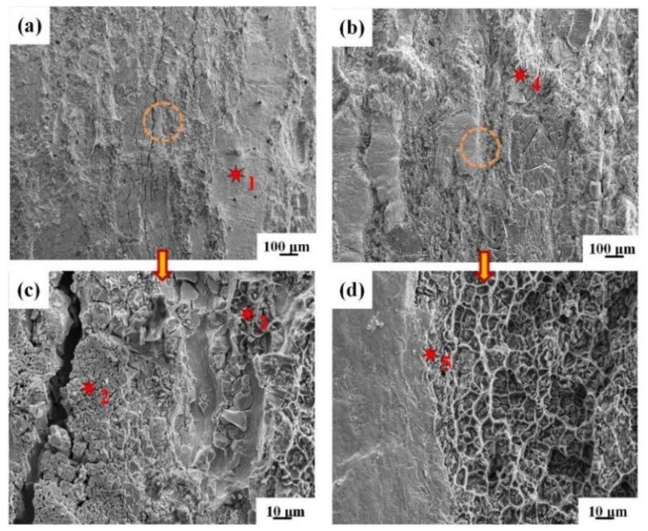 Materials 15 02119 g009