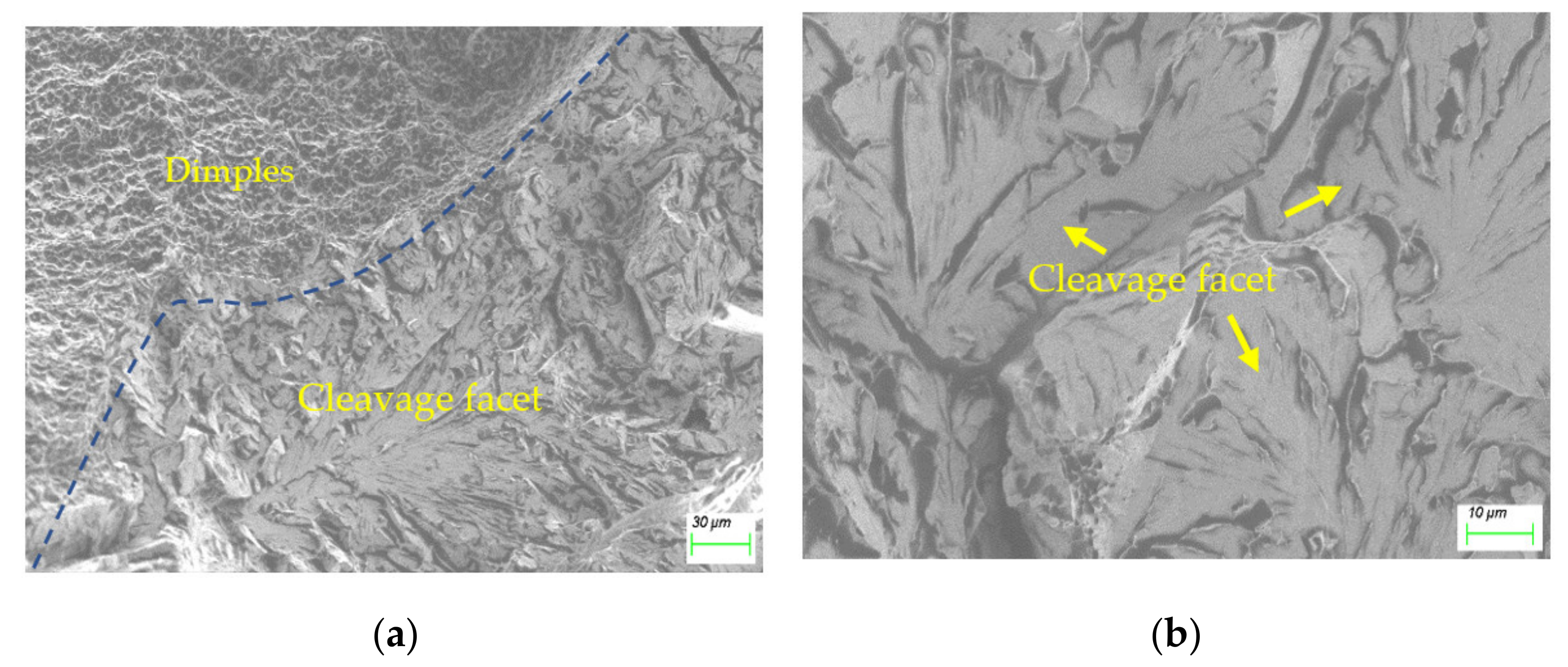Materials 15 02135 g006