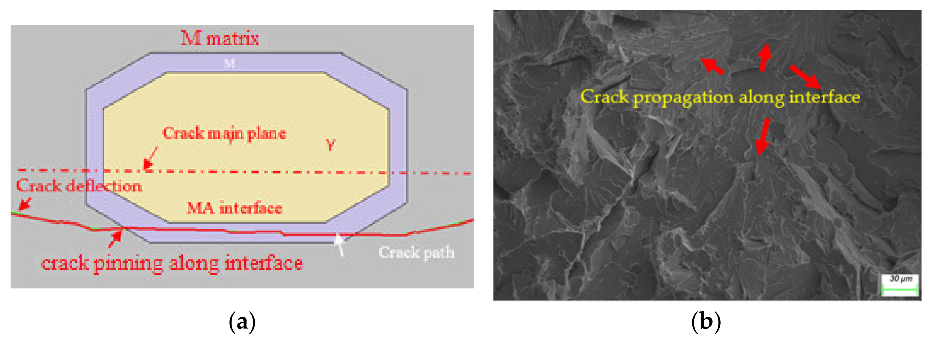 Materials 15 02135 g010