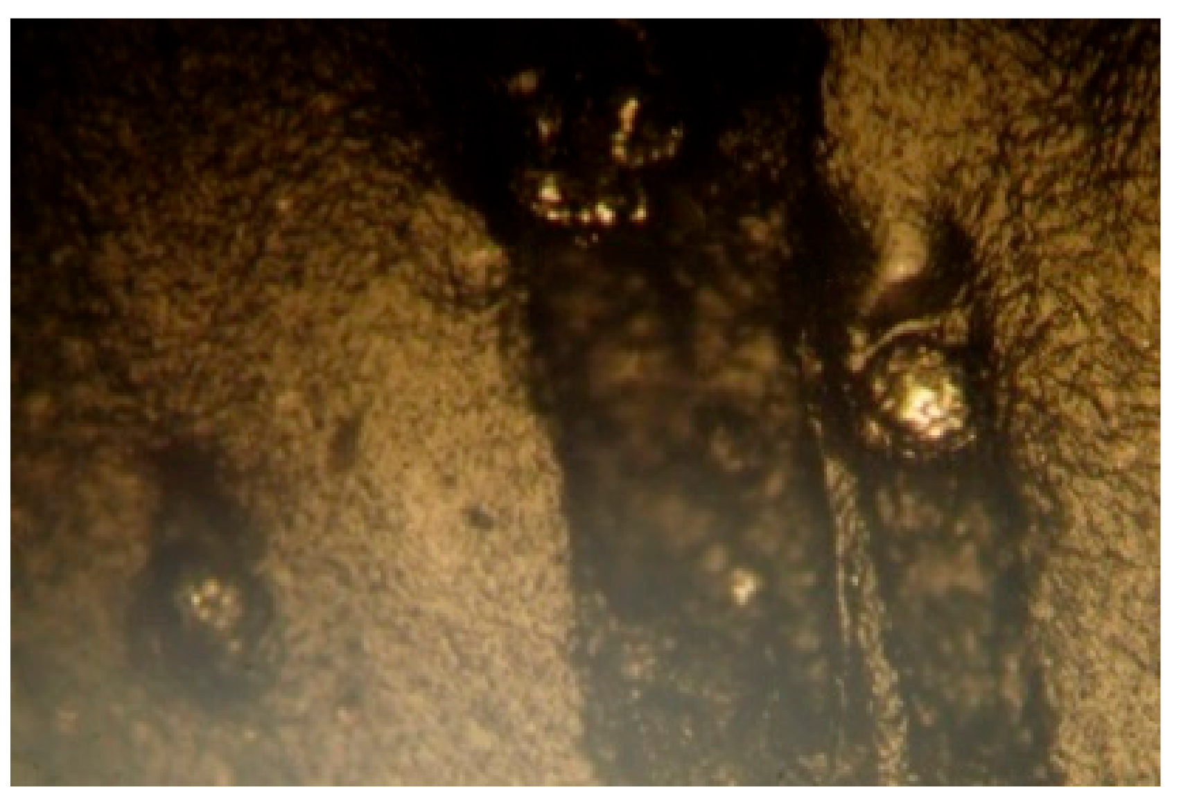 Materials 15 02263 g005