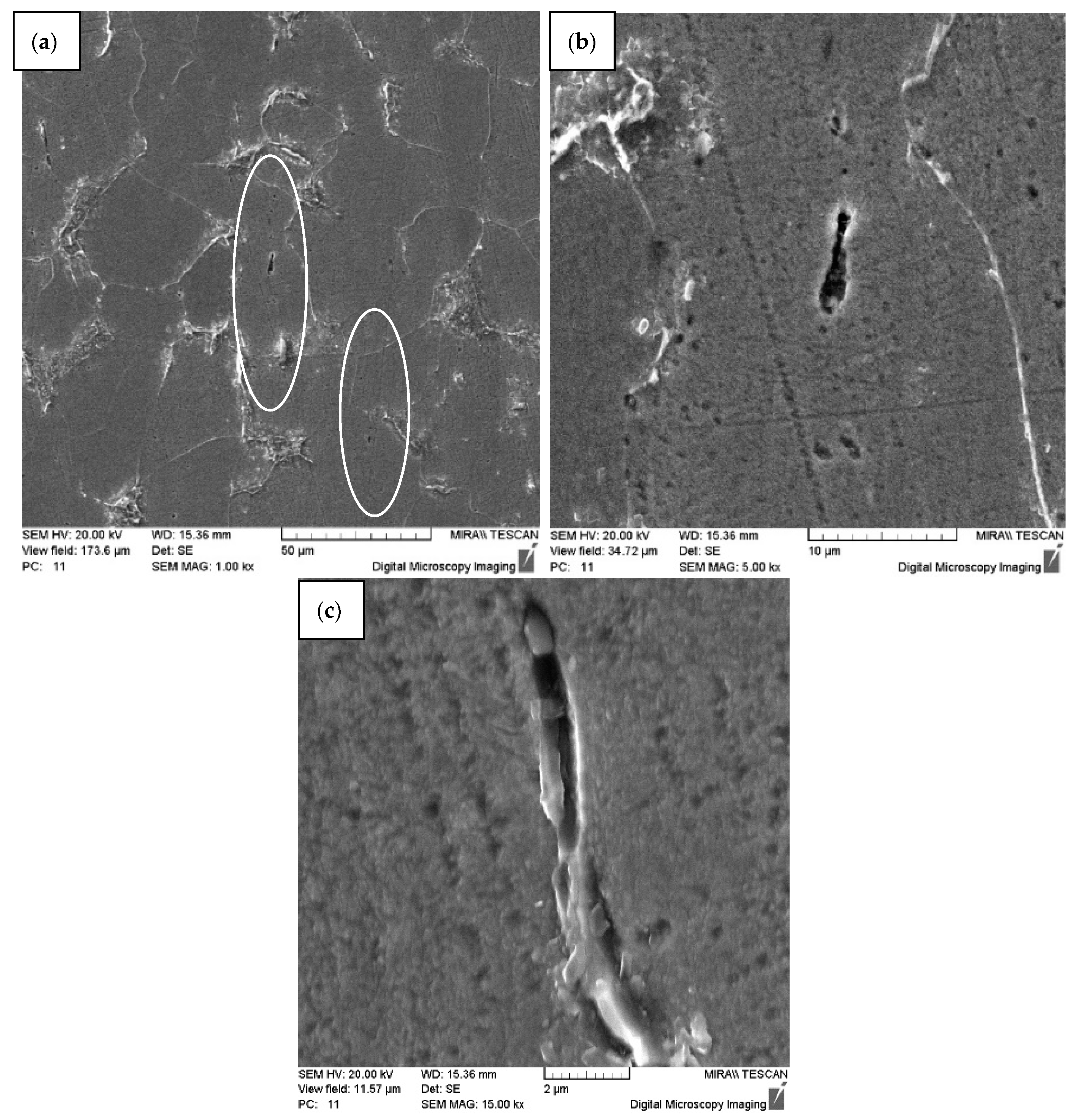 Materials 15 02280 g003 Materials 15 02280 g003