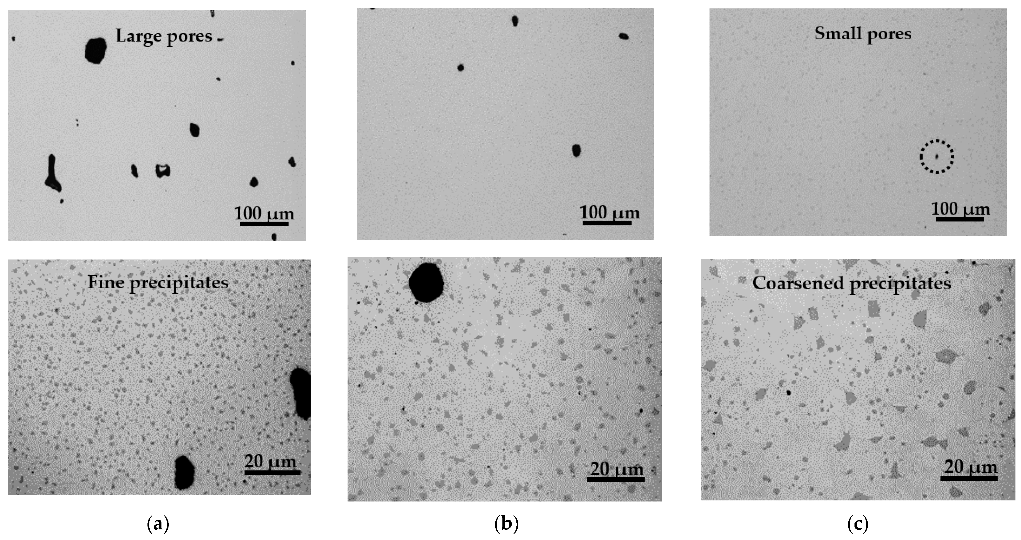Materials 15 02300 g006