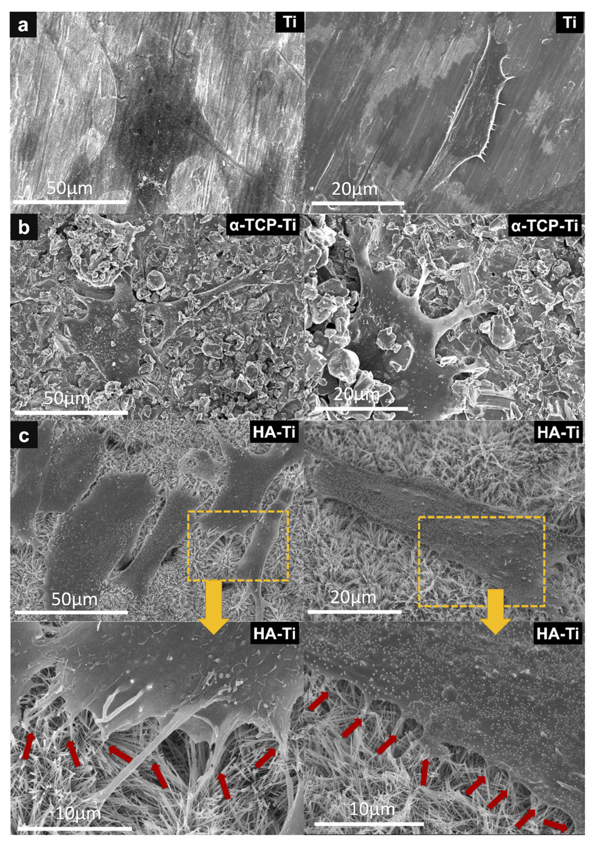 Materials 15 02306 g012