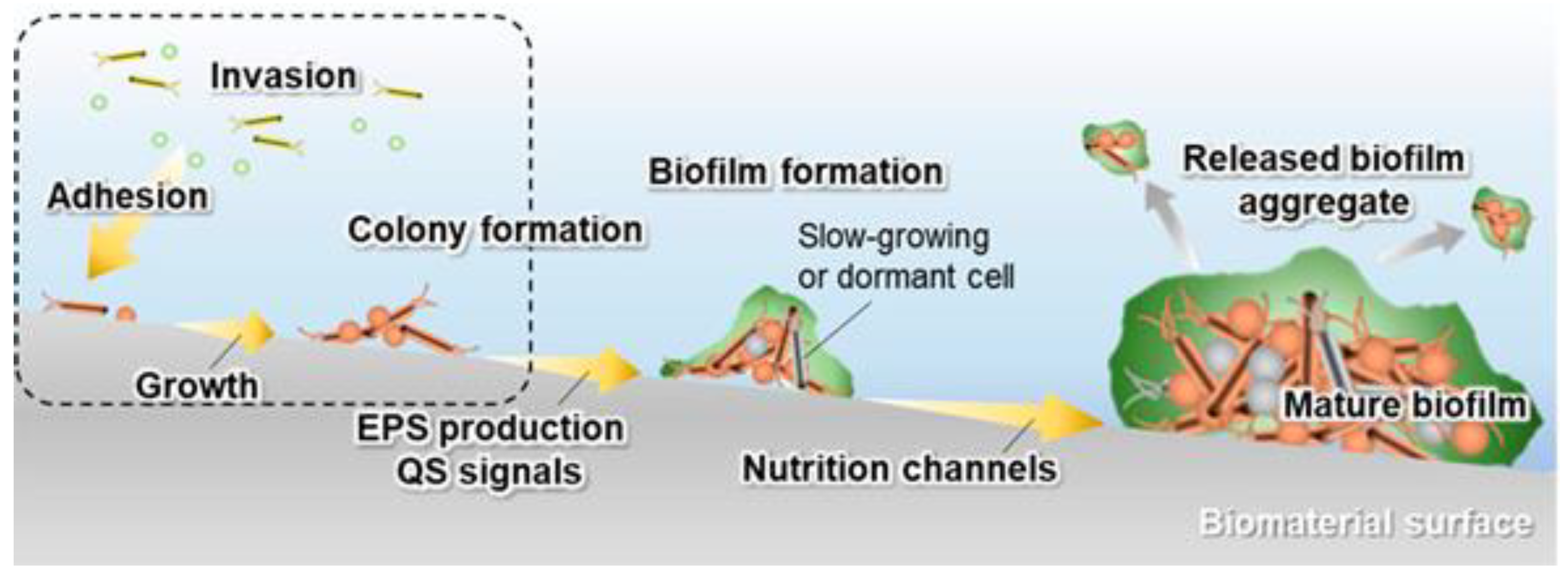 Materials 15 02342 g001