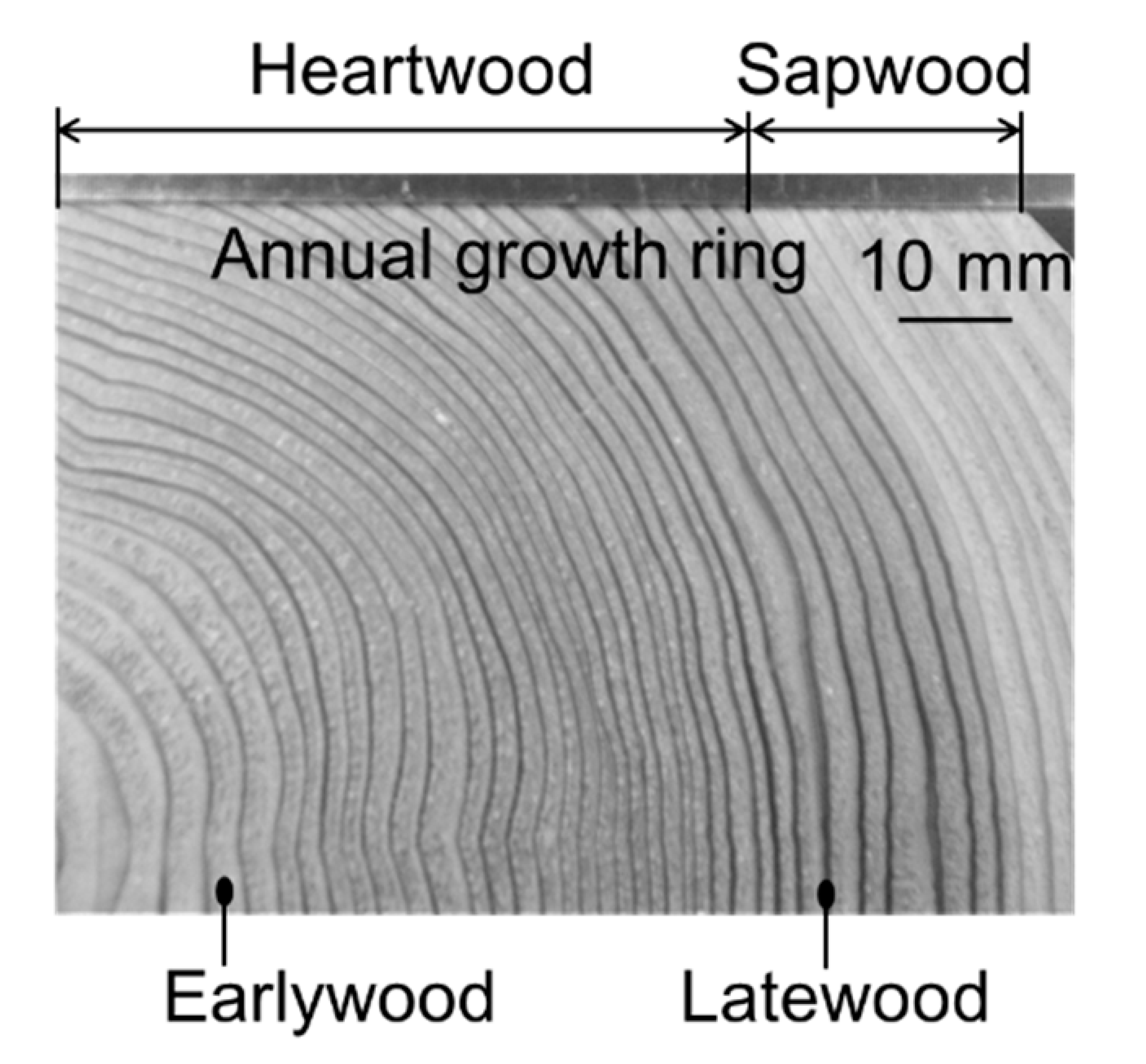 Materials 15 02347 g002 Materials 15 02347 g002