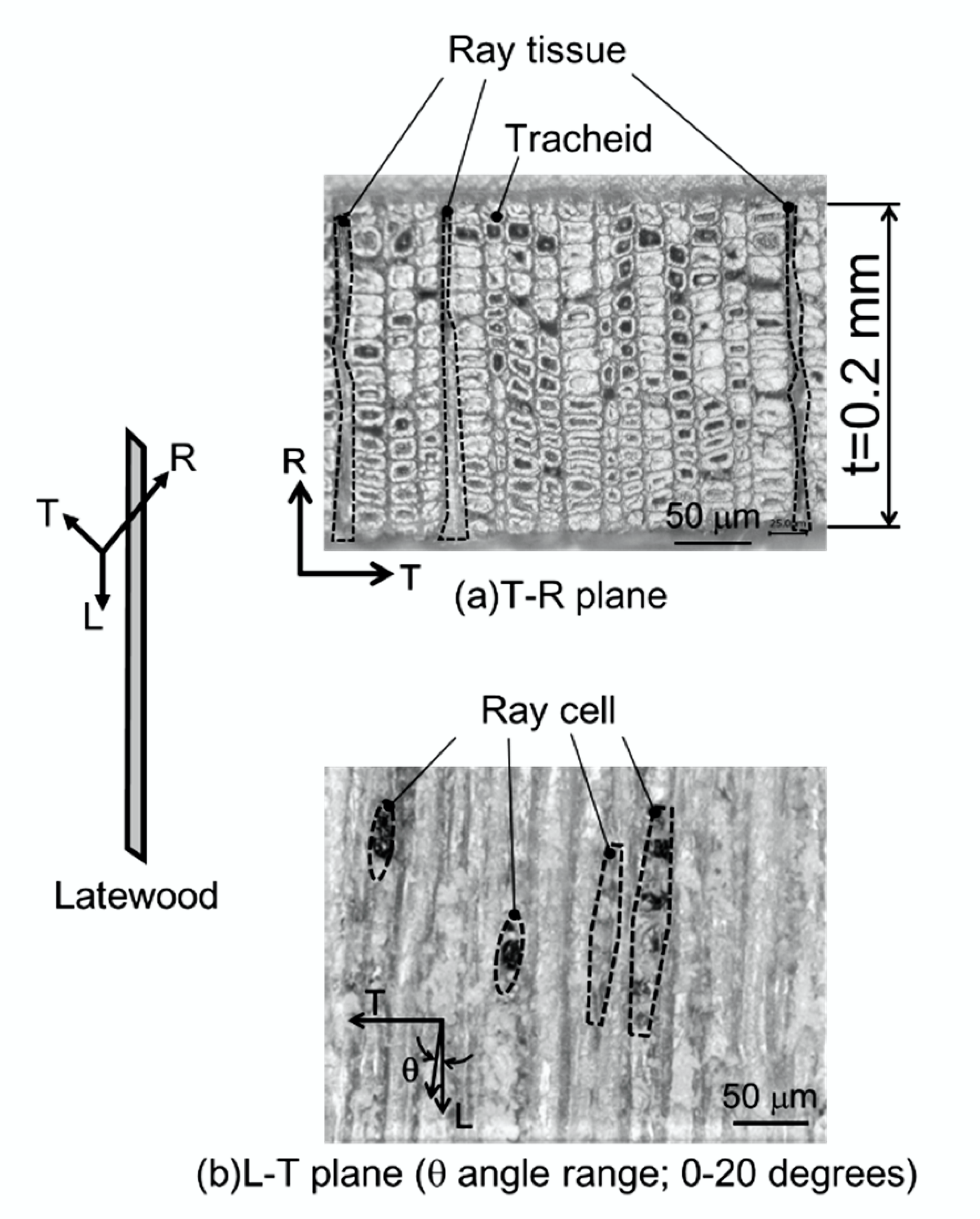 Materials 15 02347 g004 Materials 15 02347 g004