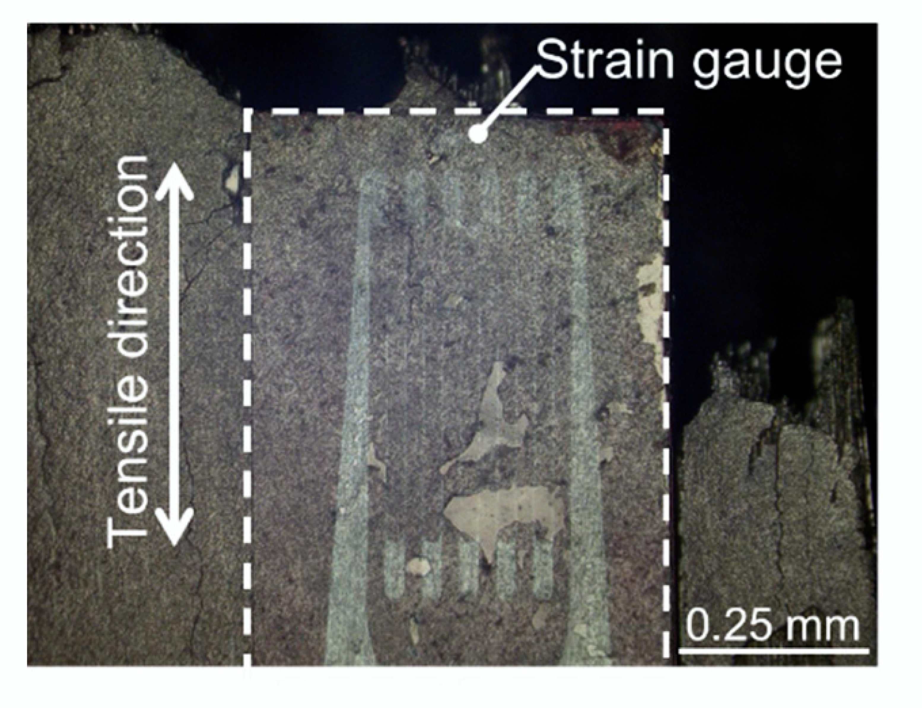 Materials 15 02347 g006 Materials 15 02347 g006