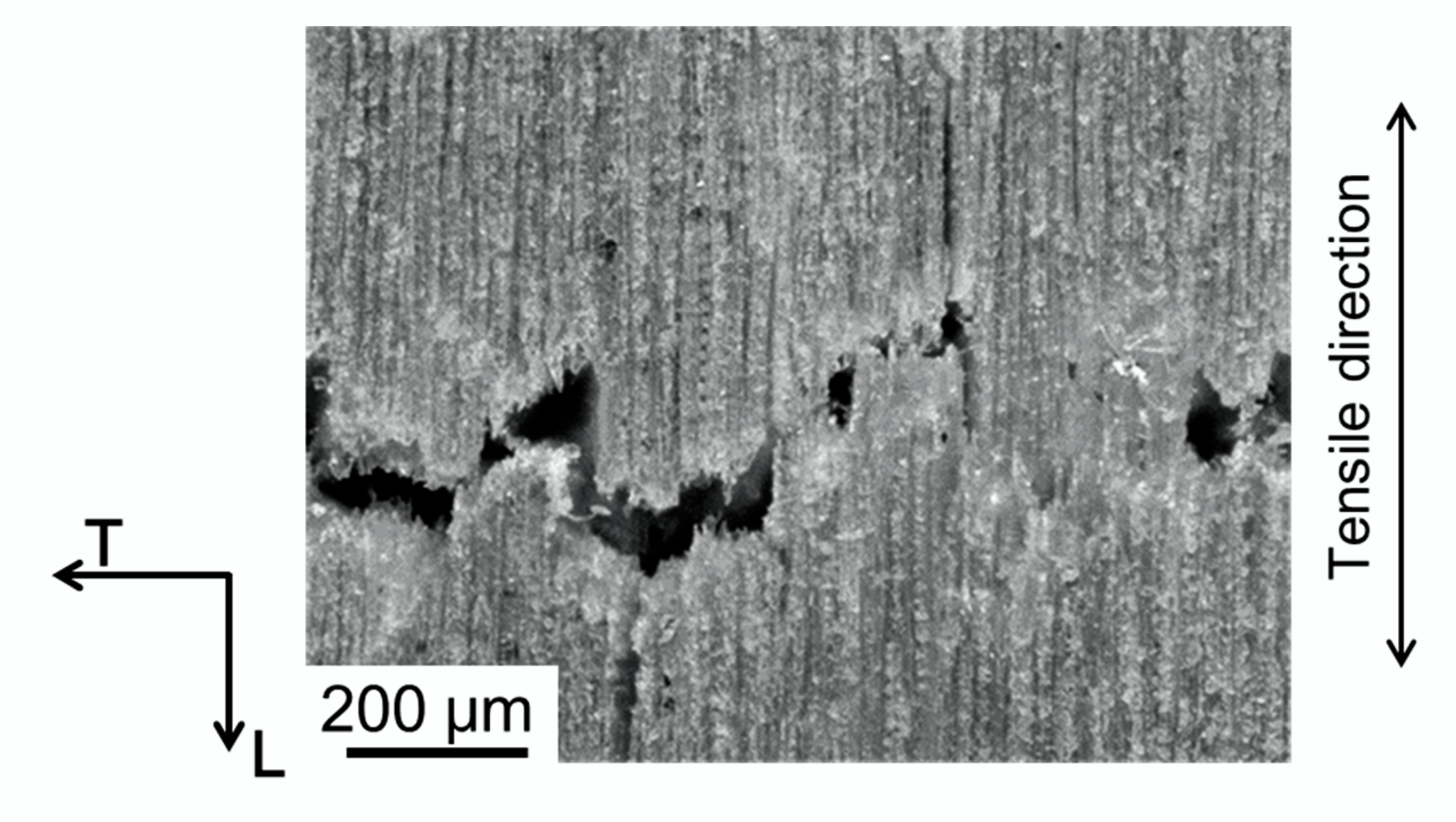 Materials 15 02347 g011 Materials 15 02347 g011