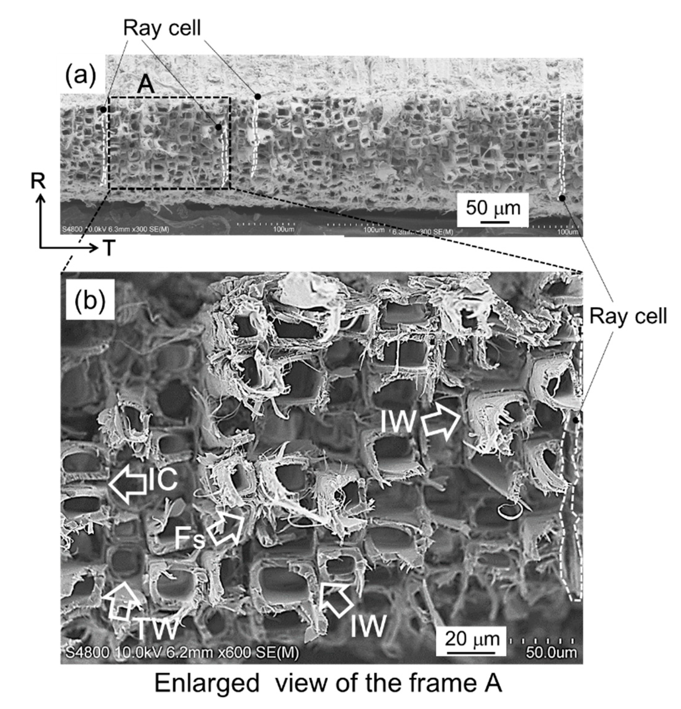 Materials 15 02347 g012 Materials 15 02347 g012