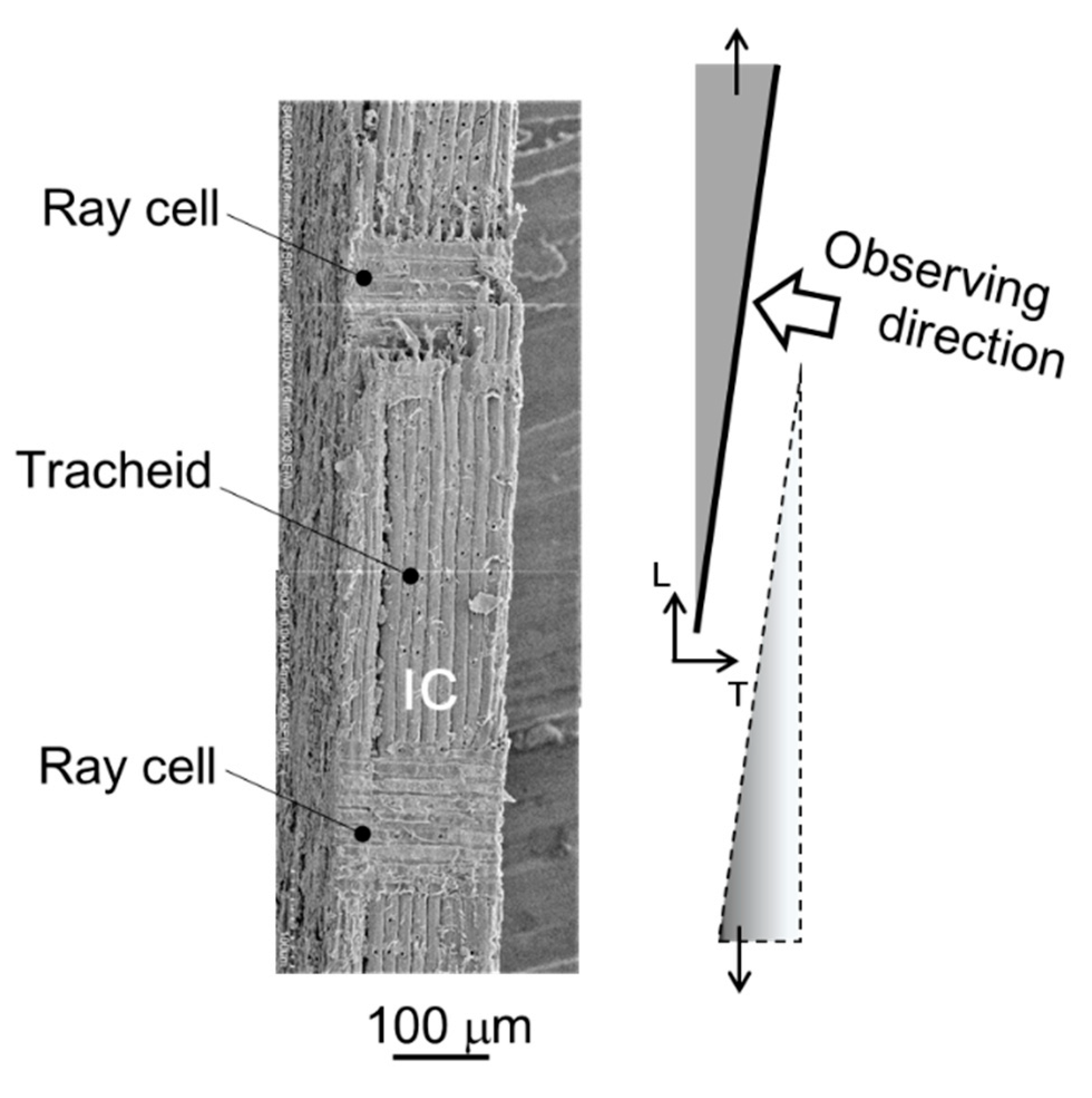Materials 15 02347 g014 Materials 15 02347 g014