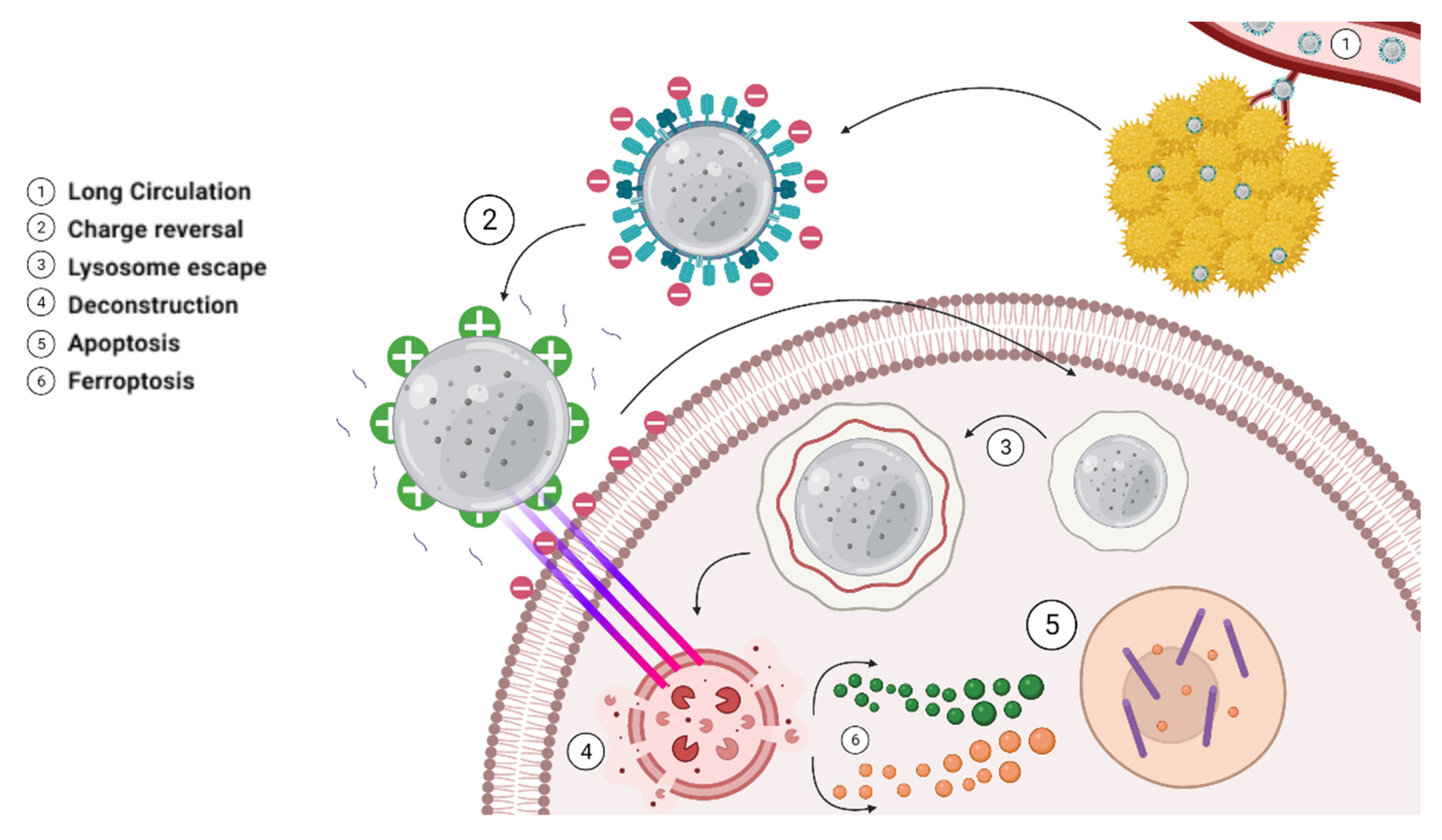 Materials 15 02374 g008