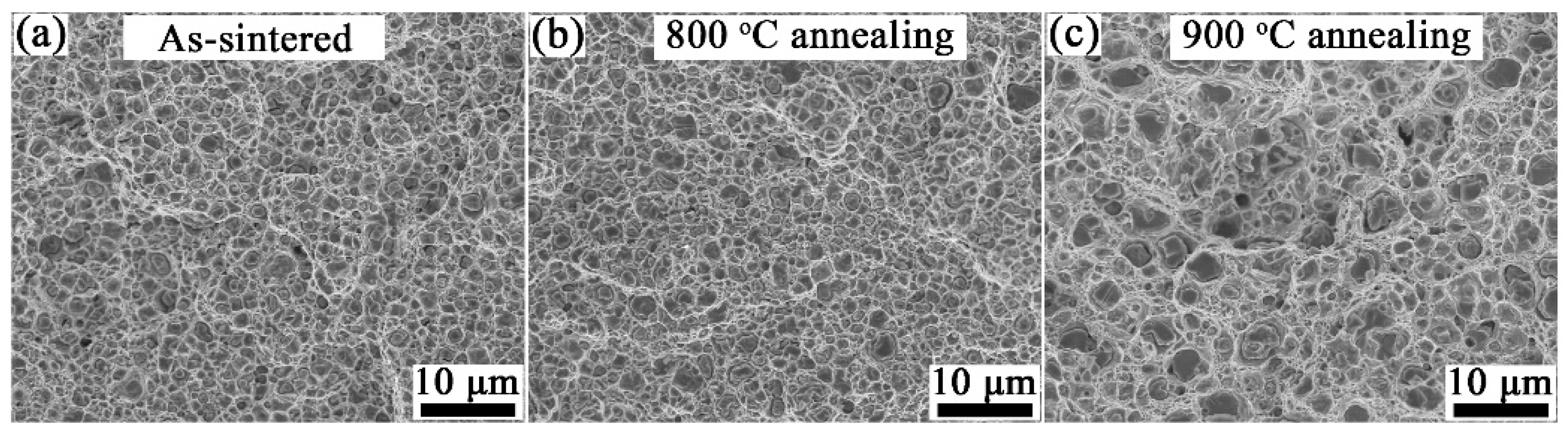 Materials 15 02416 g008