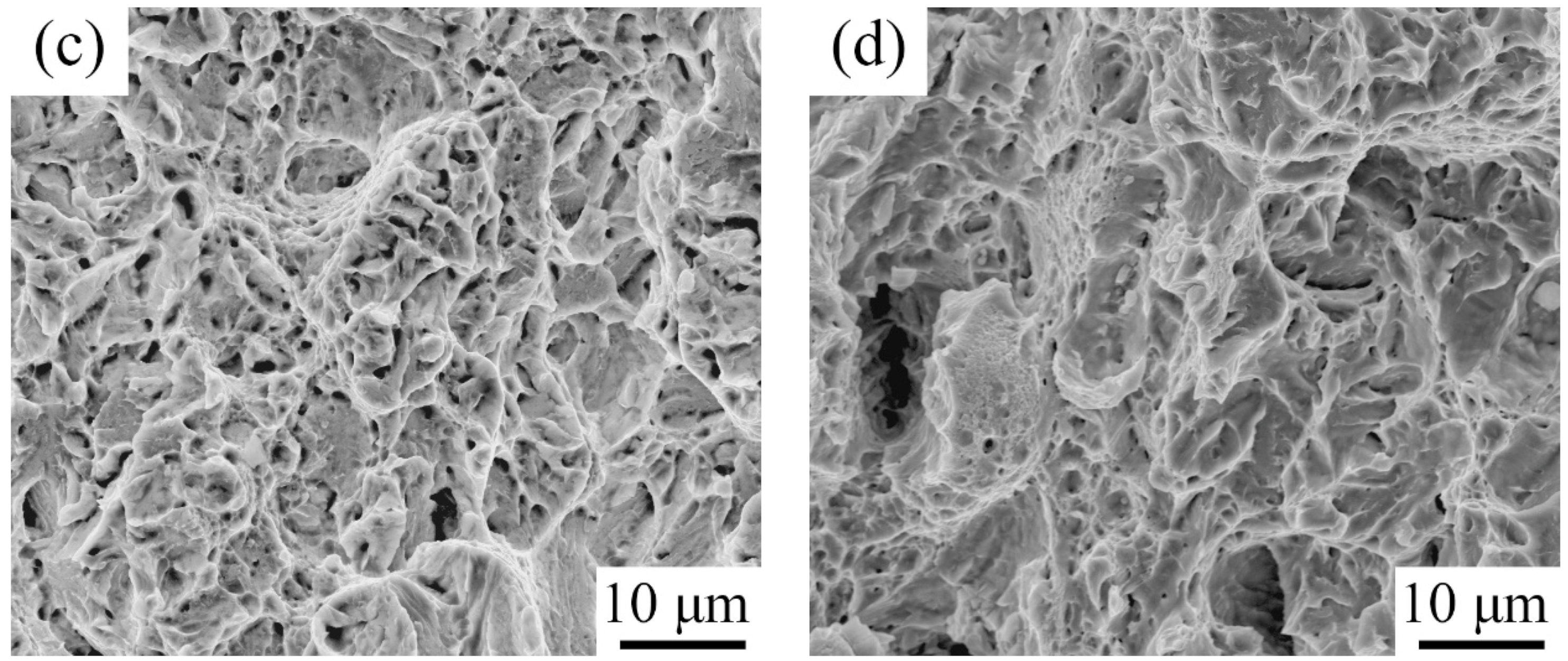 Materials 15 02425 g010b