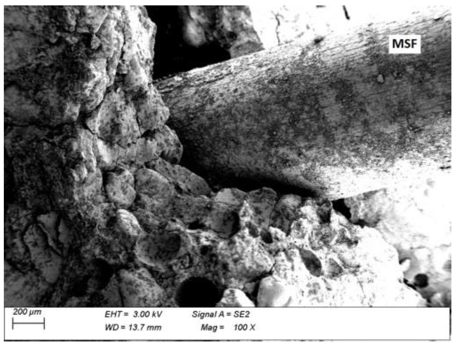 Materials 15 02444 g013