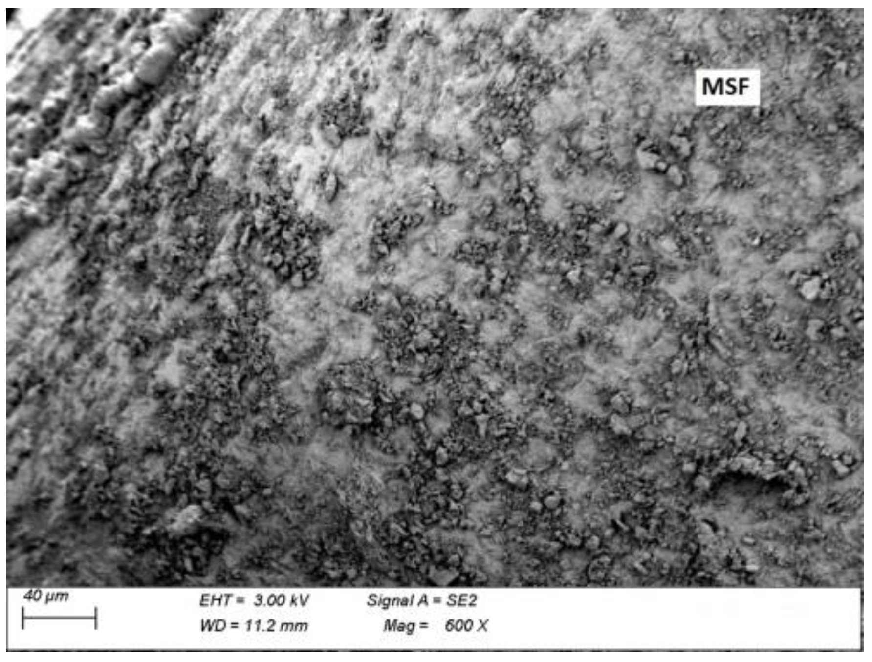 Materials 15 02444 g014