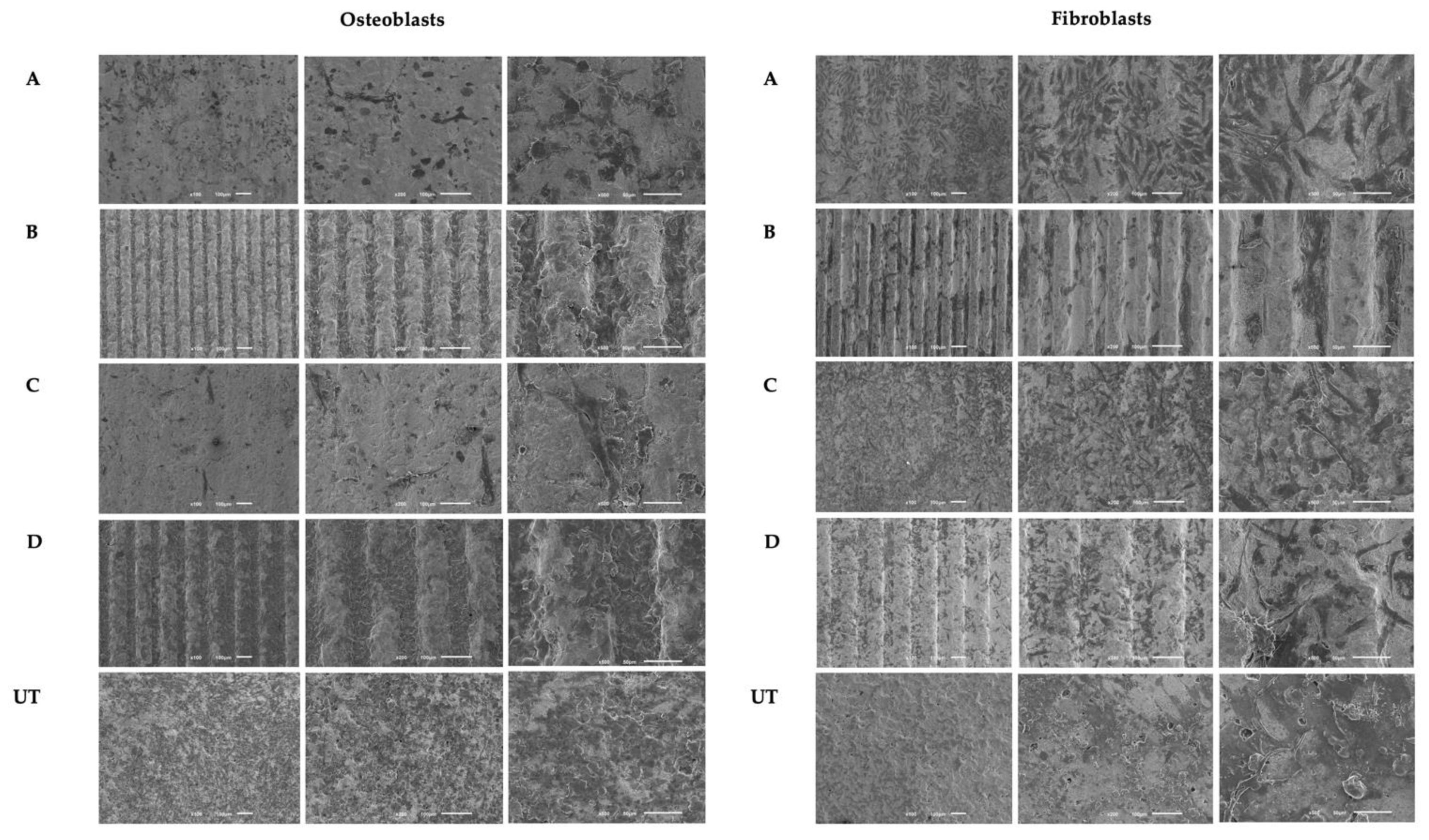 Materials 15 02481 g004