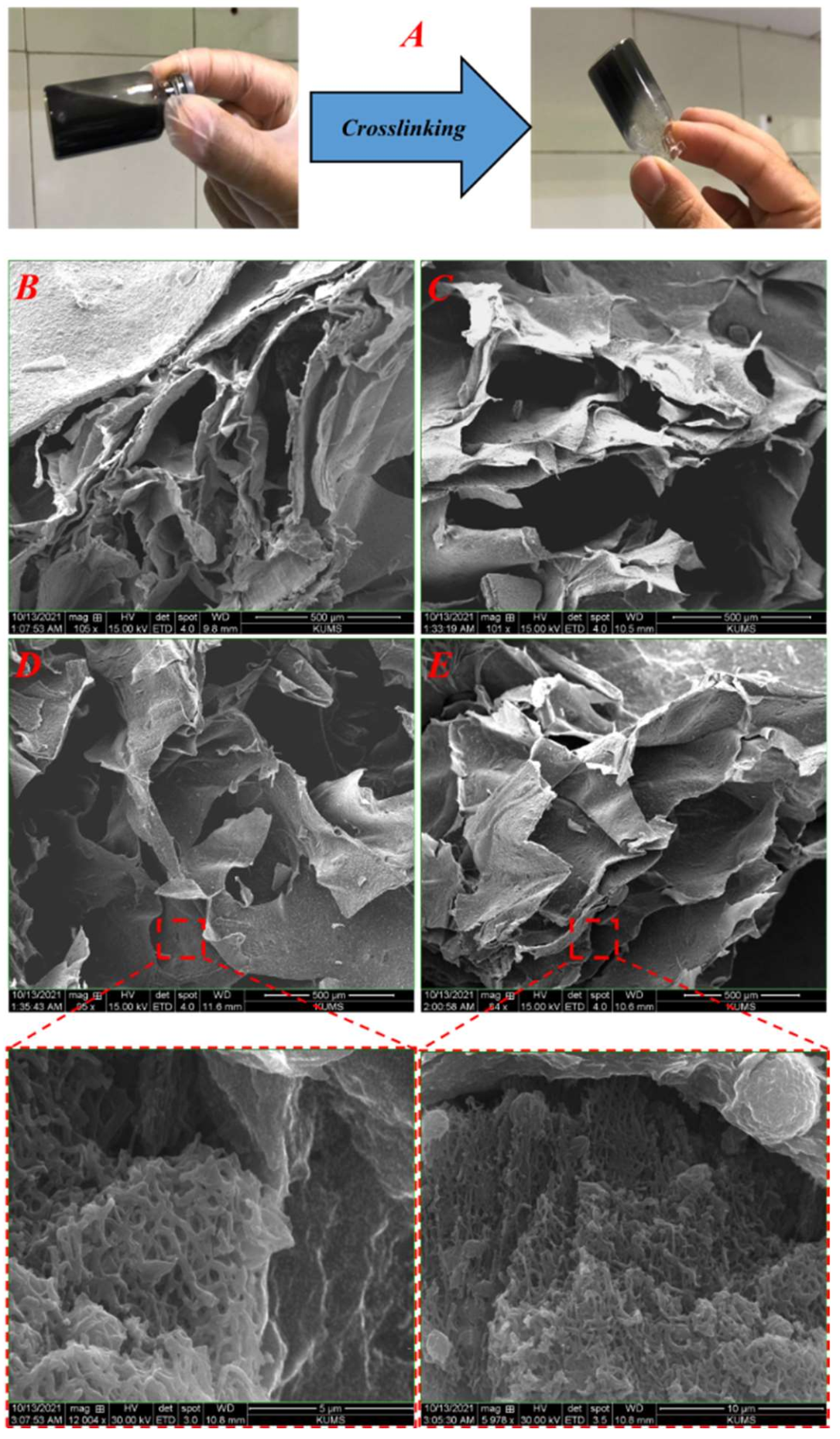 Materials 15 02494 g002