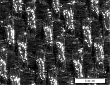 Materials 15 02512 i003