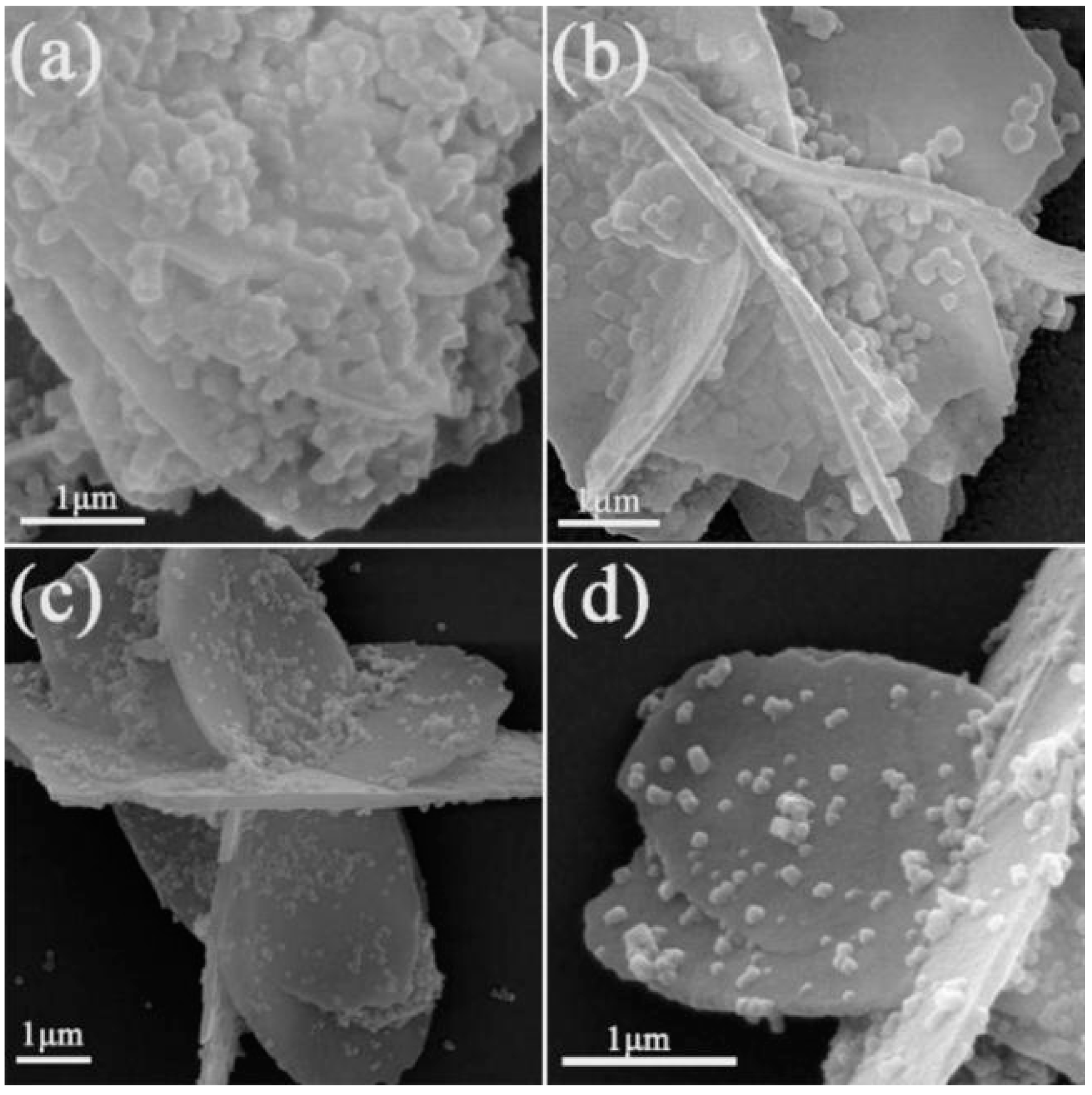 Materials 15 02564 g008