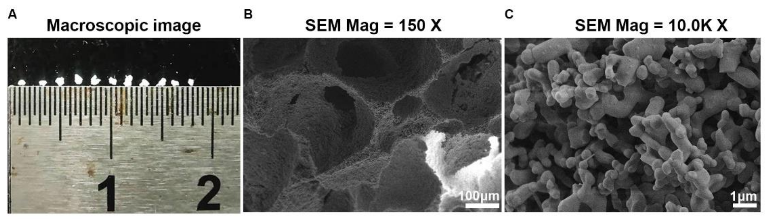 Materials 15 02569 g001