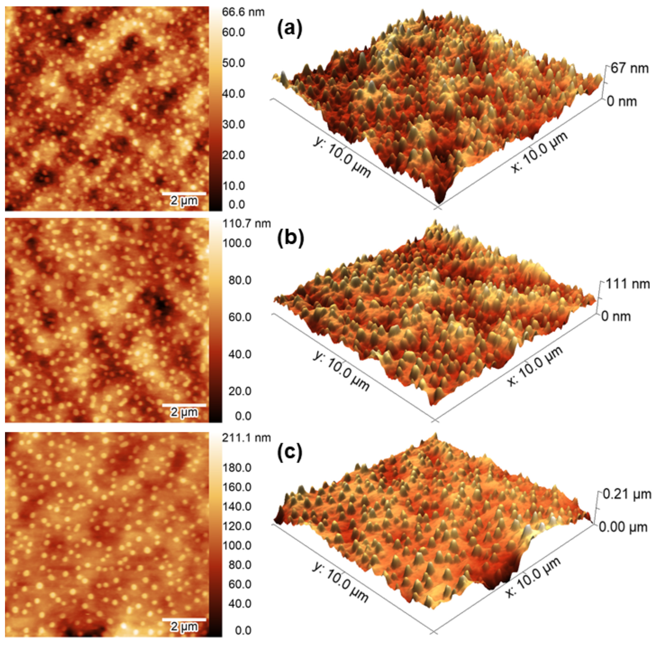 Materials | Free Full-Text | Three-Dimensional Nanoscale Morphological  Surface Analysis of Polymeric Particles Containing Allium sativum Essential  Oil