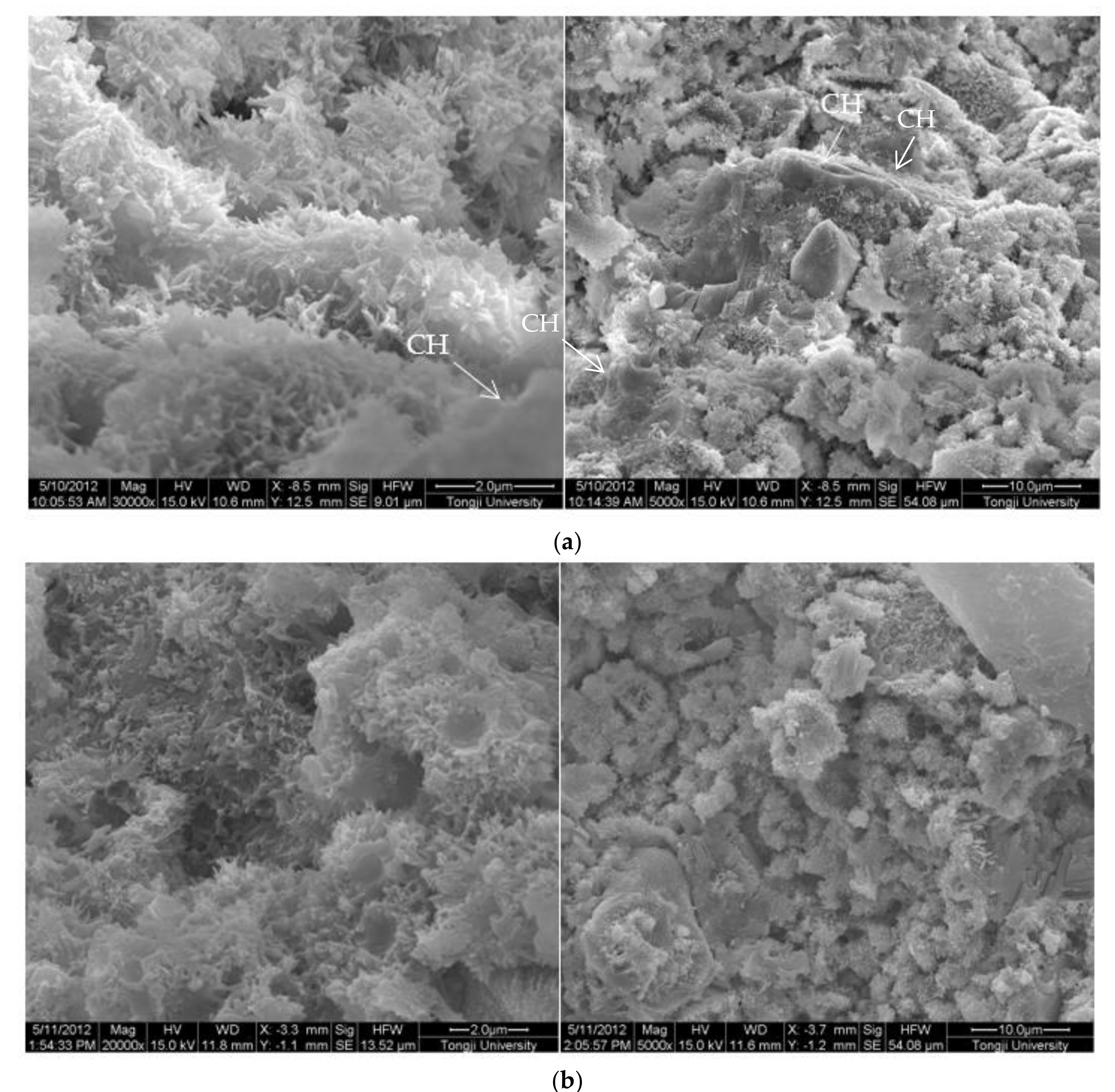 Materials Free Full Text Quantitative Analysis Of The Calcium Hydroxide Content Of Eva Modified Cement Paste Based On Tg Dsc In A Dual Atmosphere Html