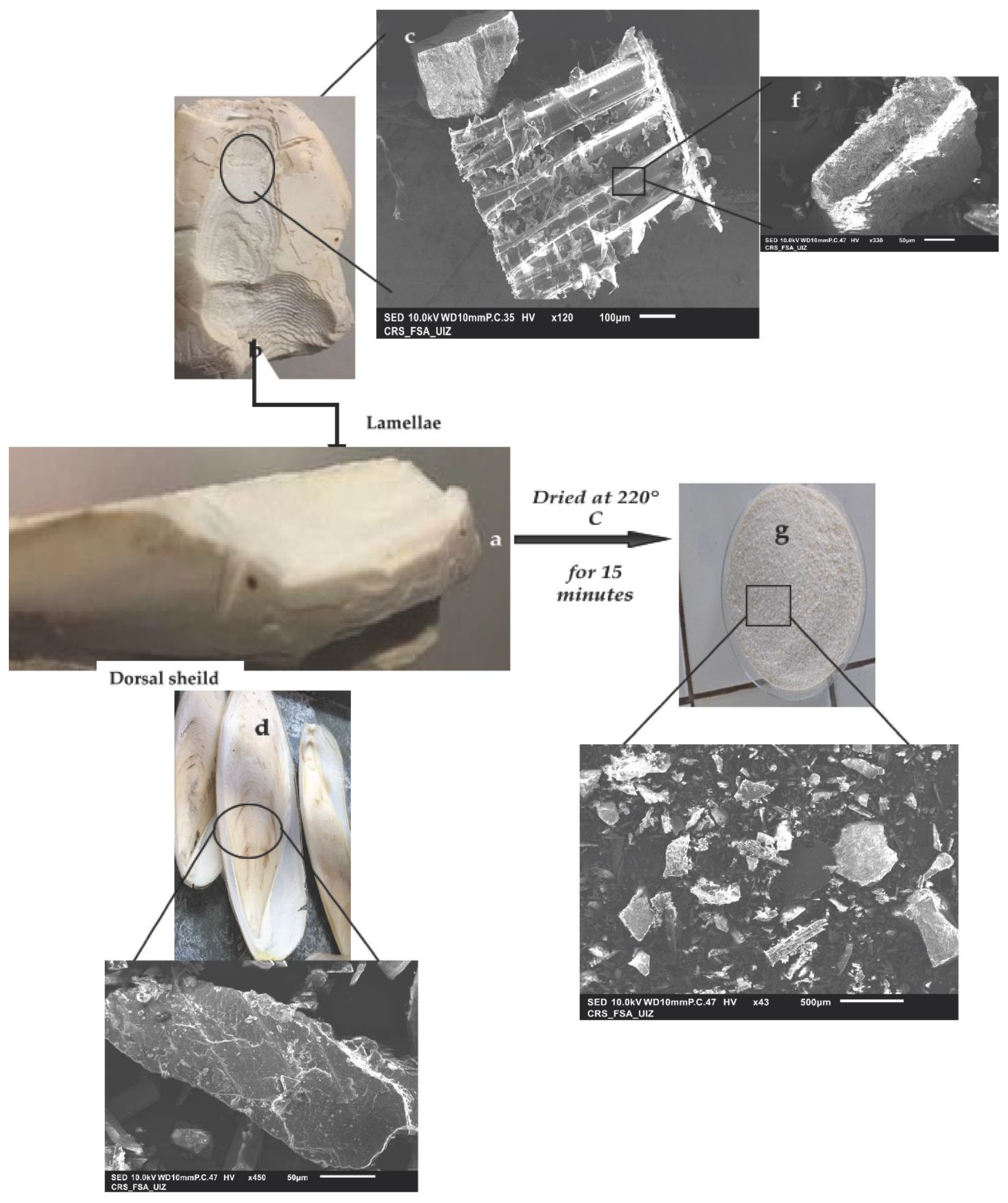Materials 15 02803 g002