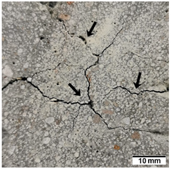 Materials 15 02819 i002