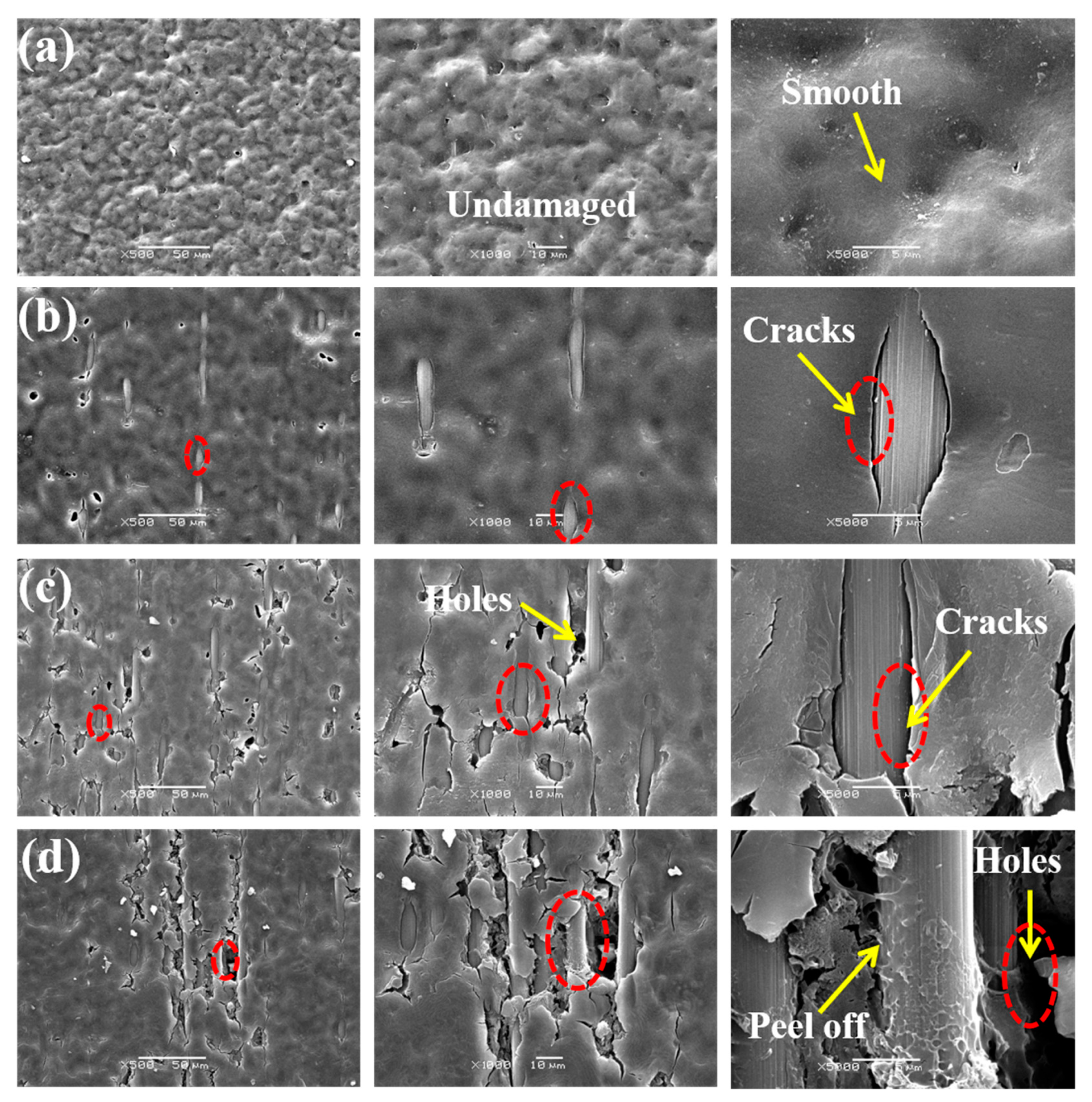 Materials 15 02919 g010