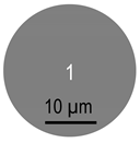 Materials 15 03022 i001