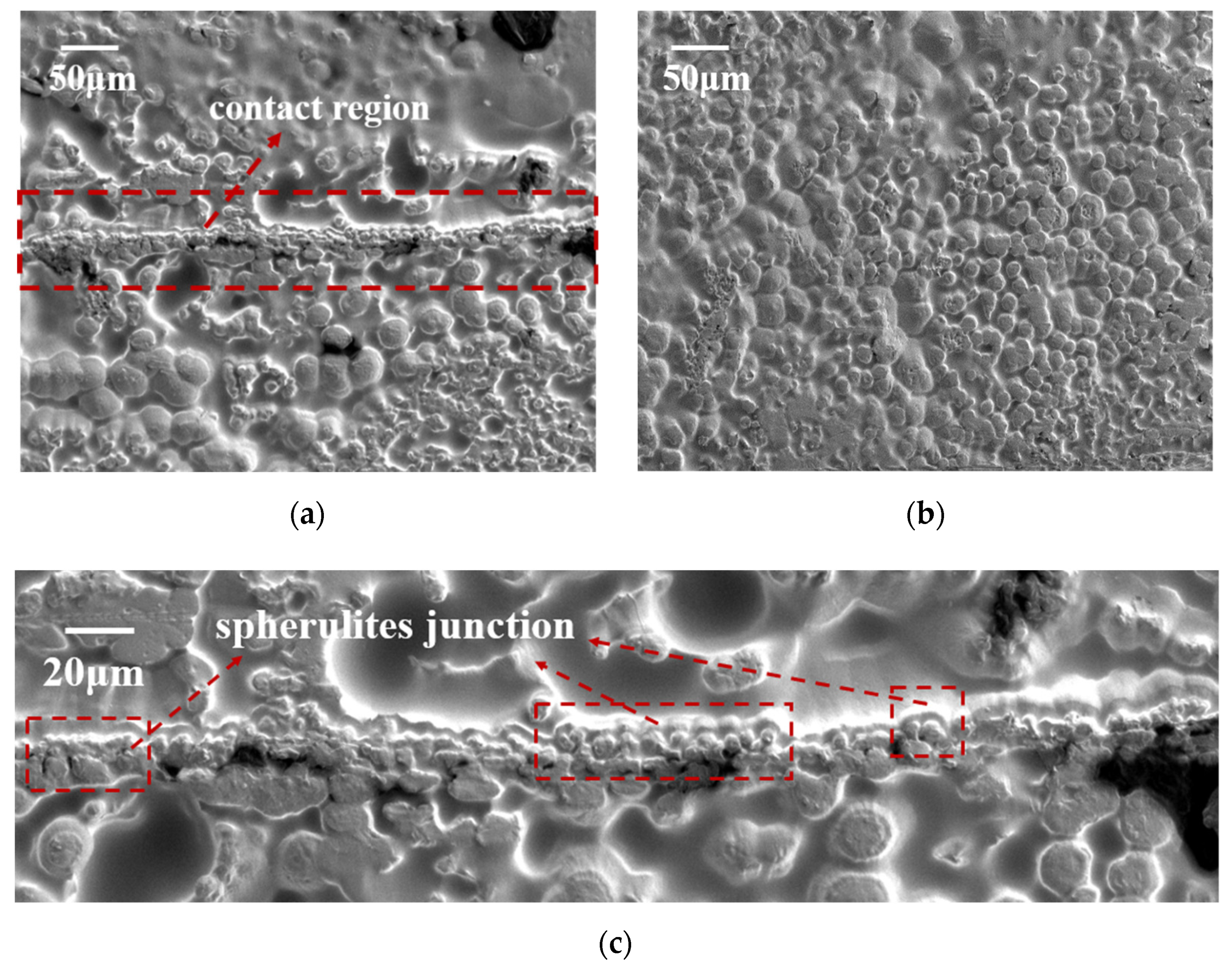 Materials 15 03024 g005