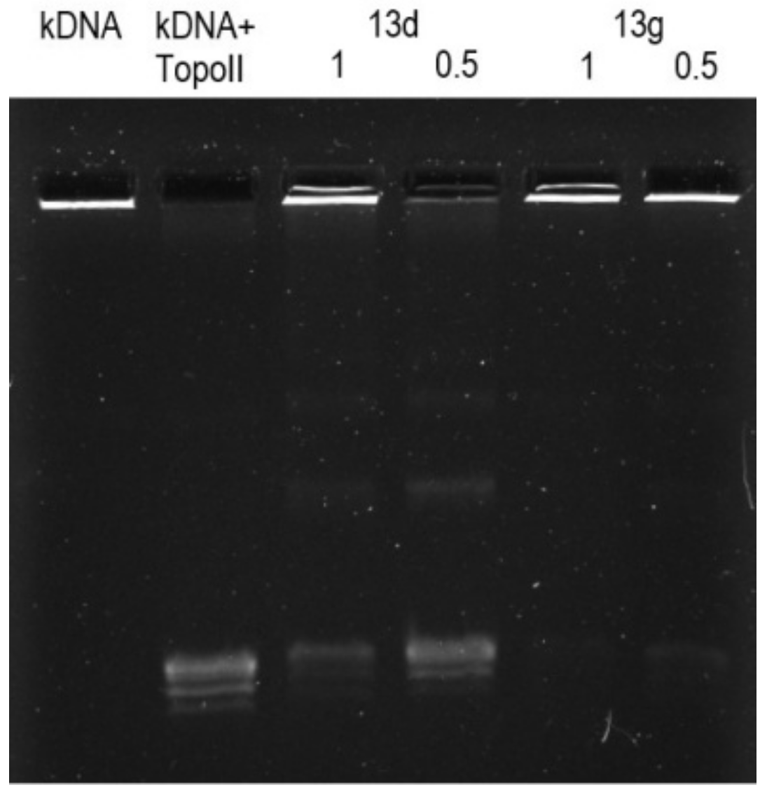 Materials 15 03030 g007