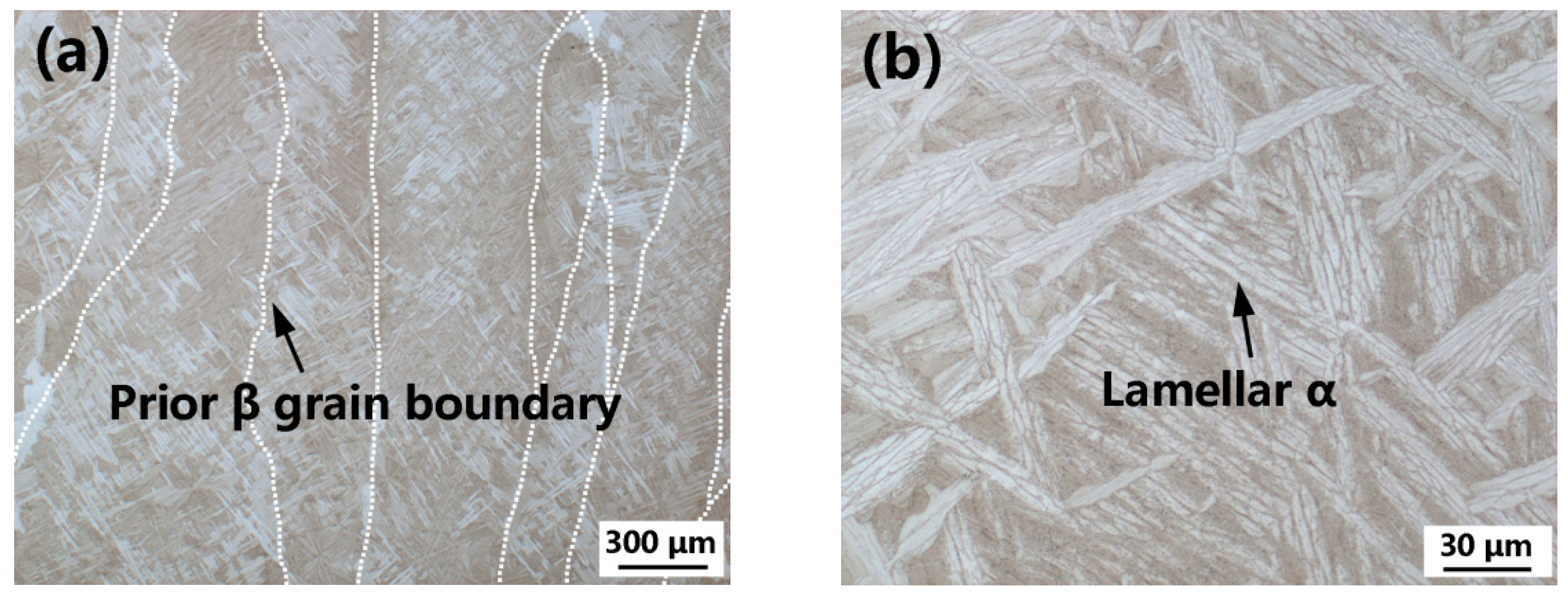 Materials 15 03109 g005