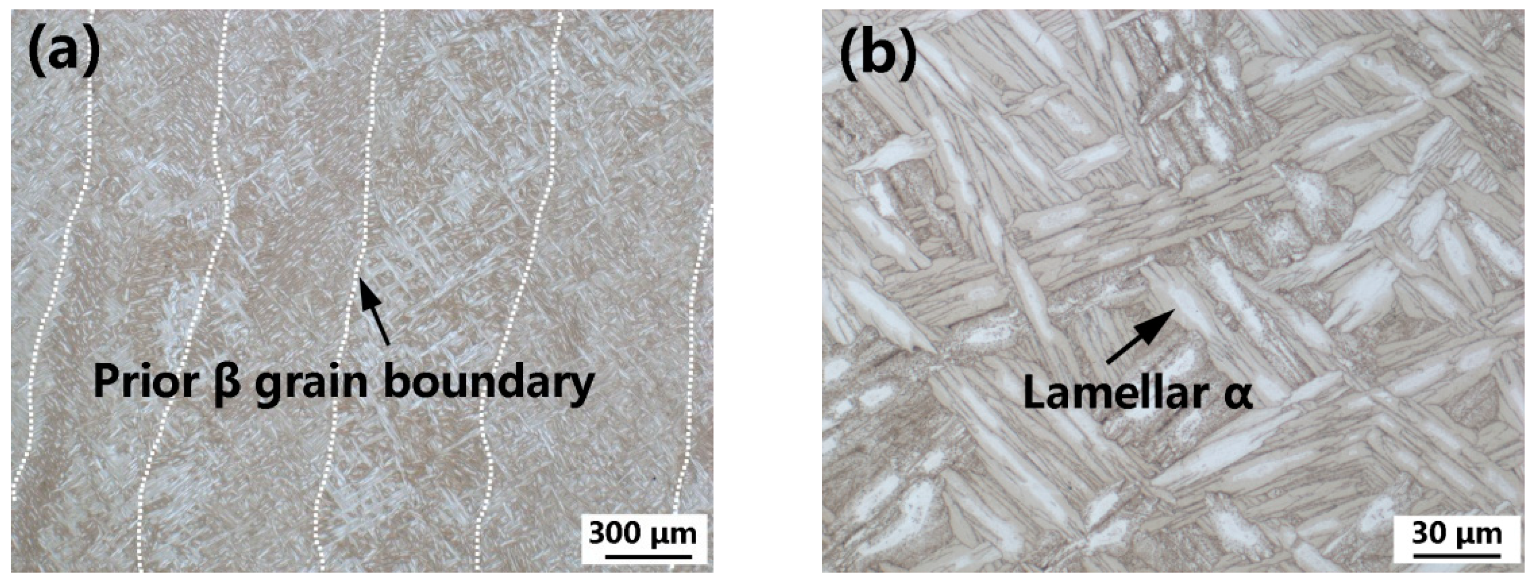 Materials 15 03109 g008