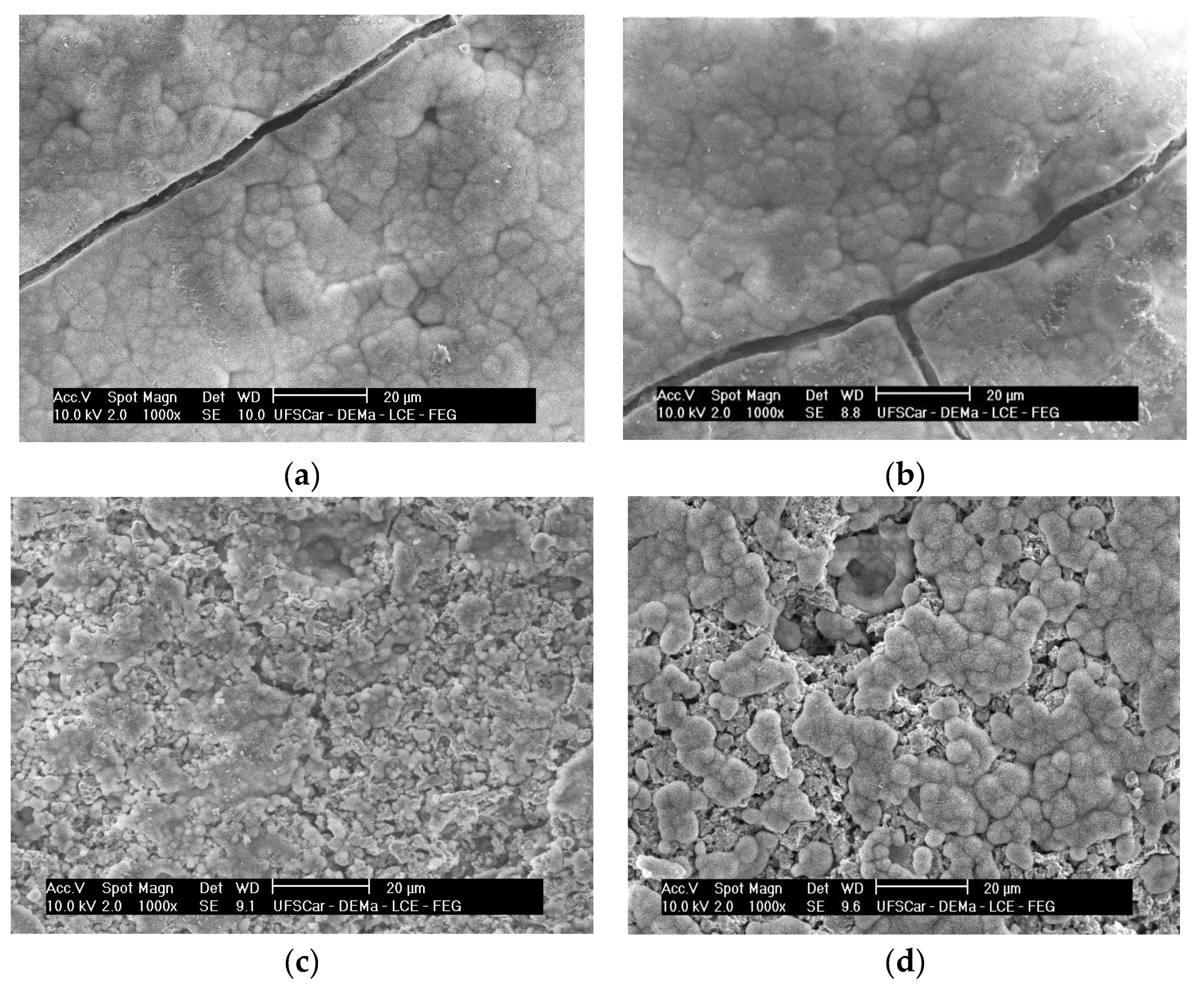 Materials 15 03187 g017