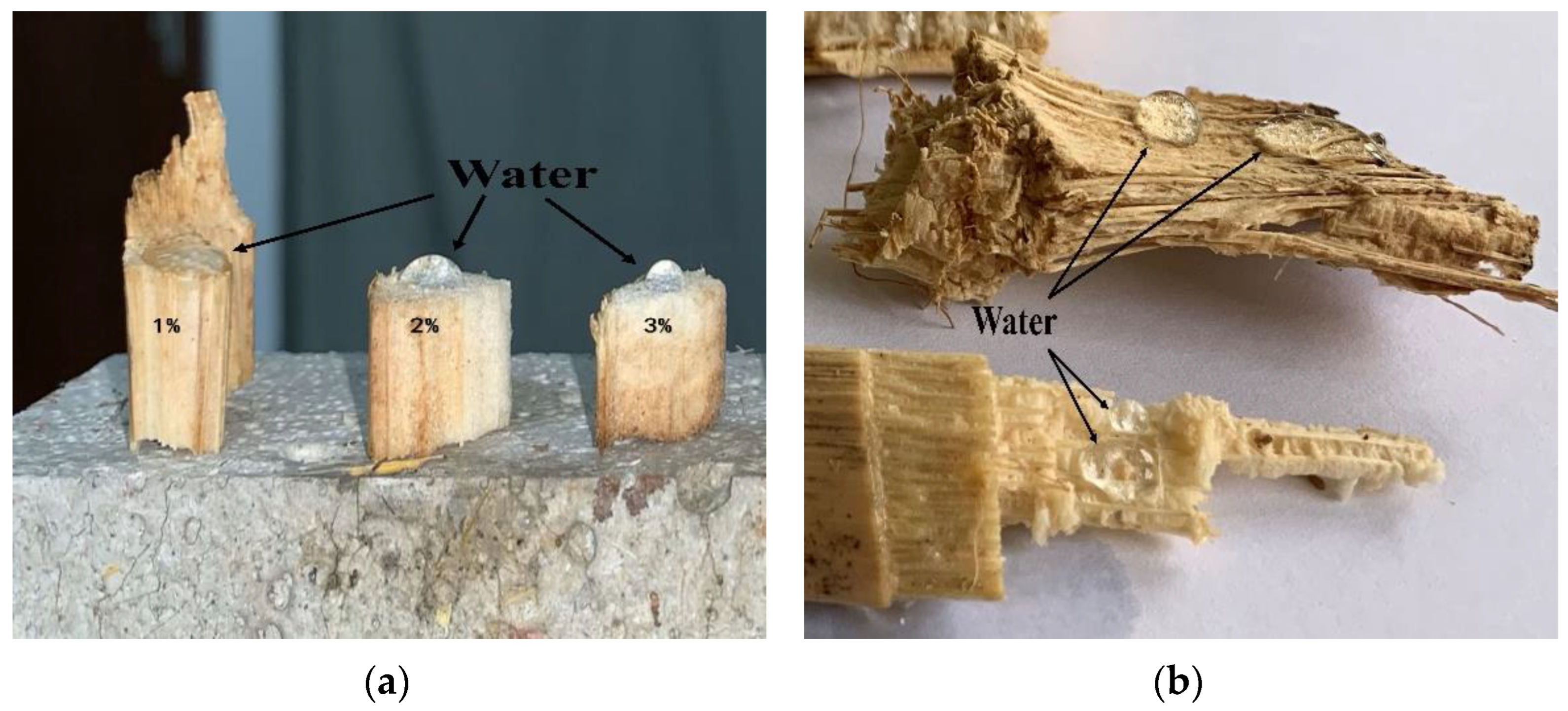 Corn-Based Straws – Green Alaska Solutions