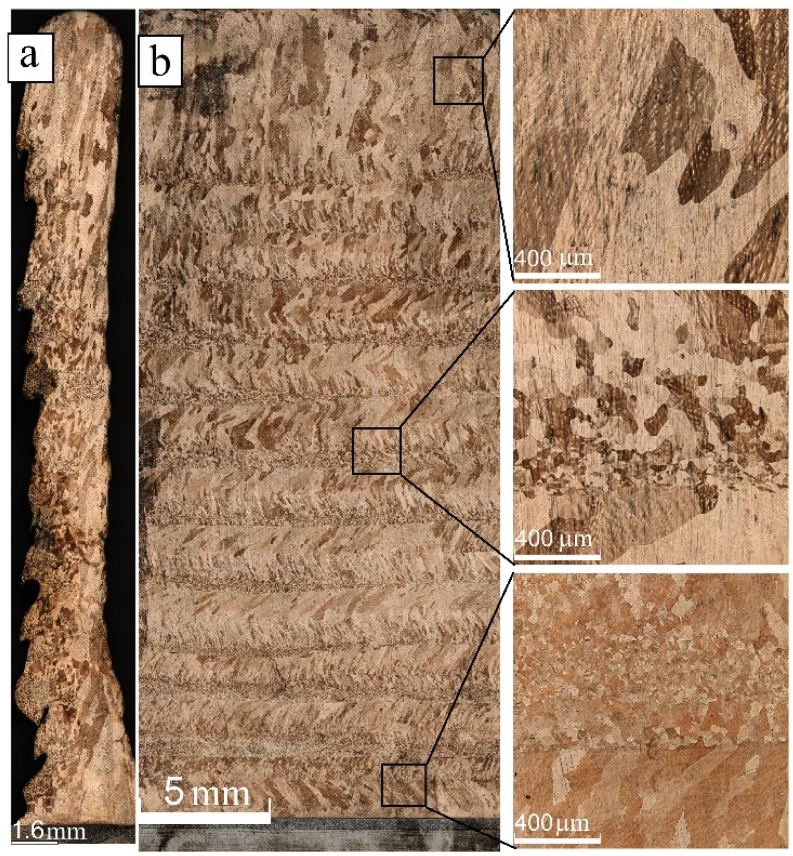 Materials 15 03209 g005