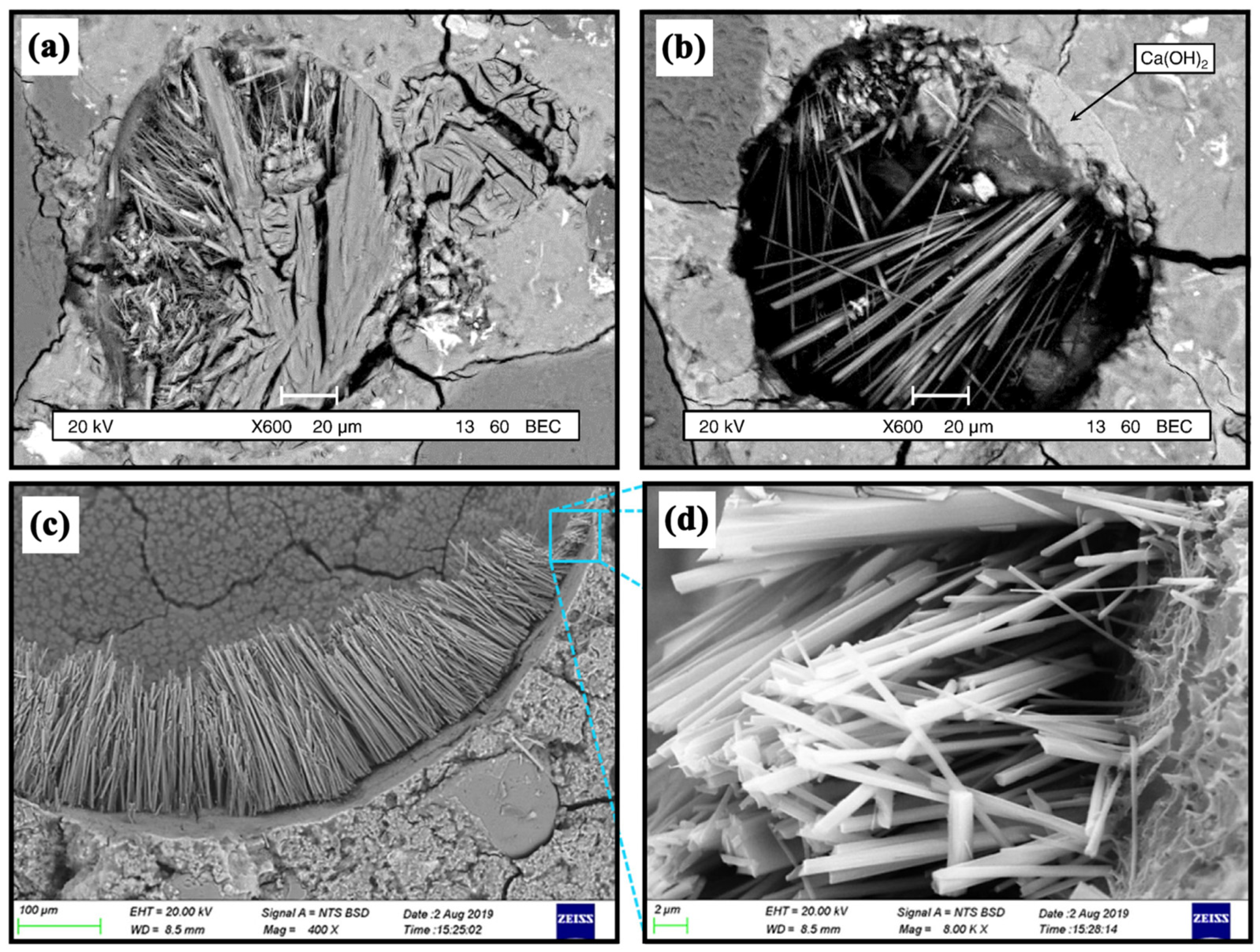 Materials 15 03210 g011 Materials 15 03210 g011