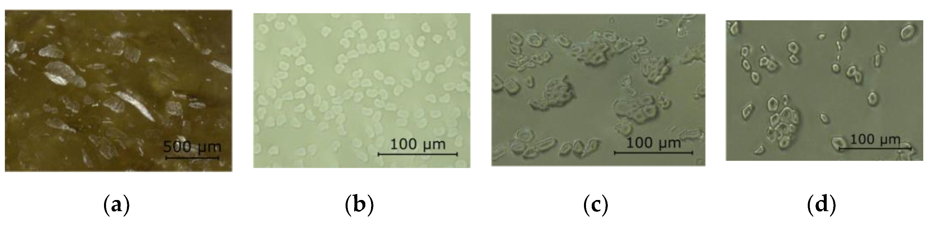 Materials 15 03260 g003 Materials 15 03260 g003