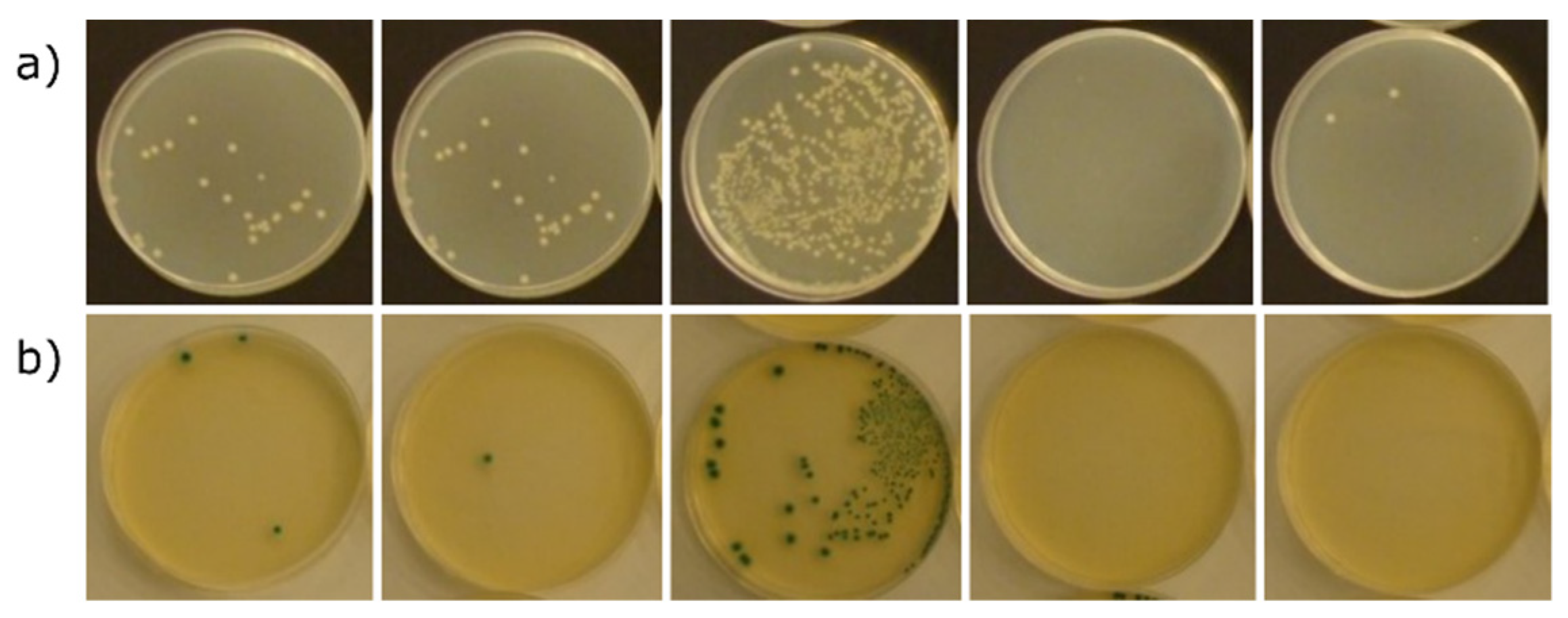 Materials 15 03305 g006