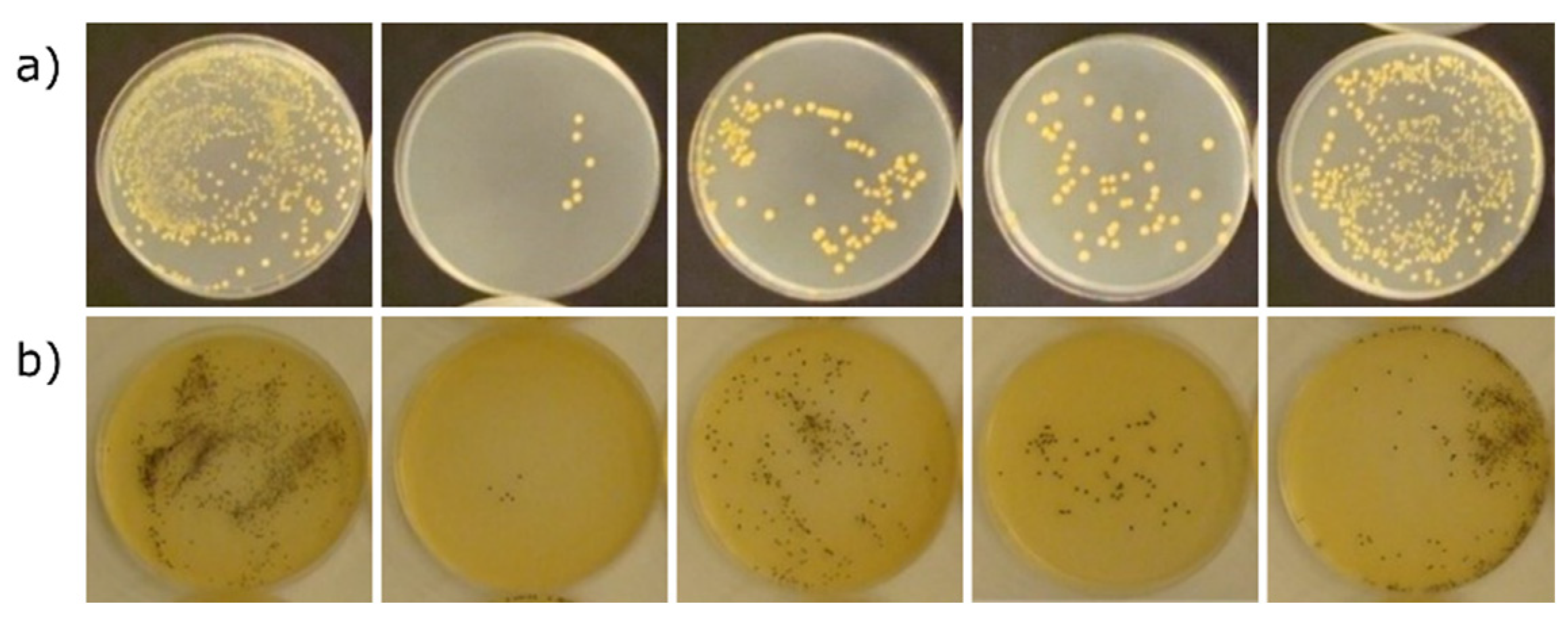 Materials 15 03305 g007