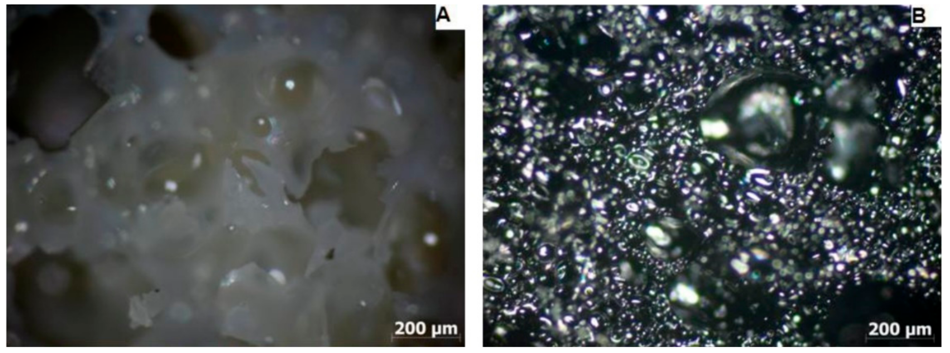 Materials 15 03313 g006