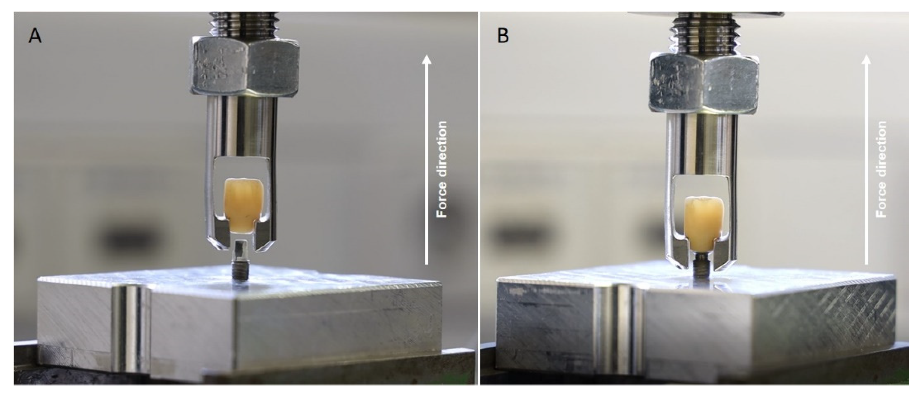 Materials 15 03381 g008