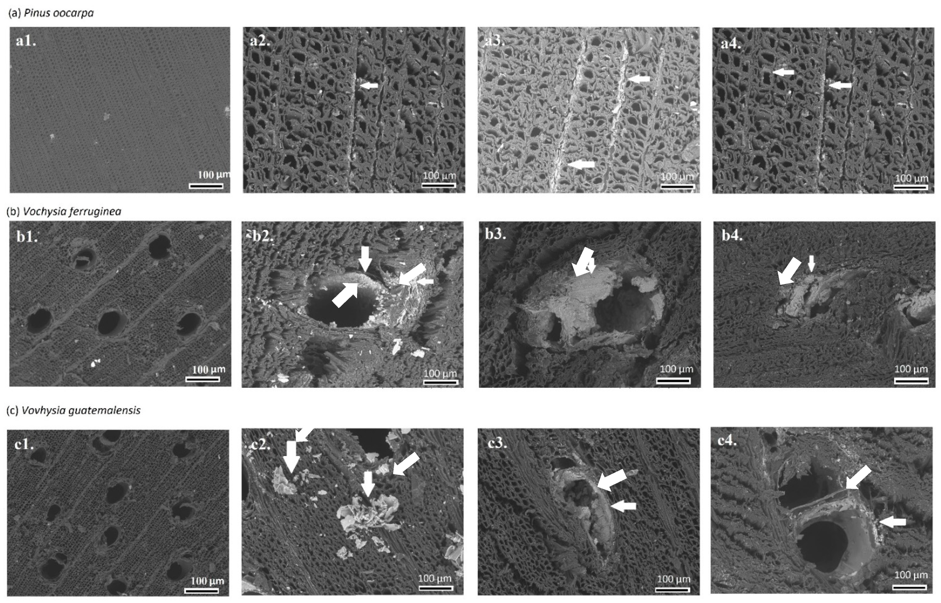 Materials 15 03394 g002 Materials 15 03394 g002