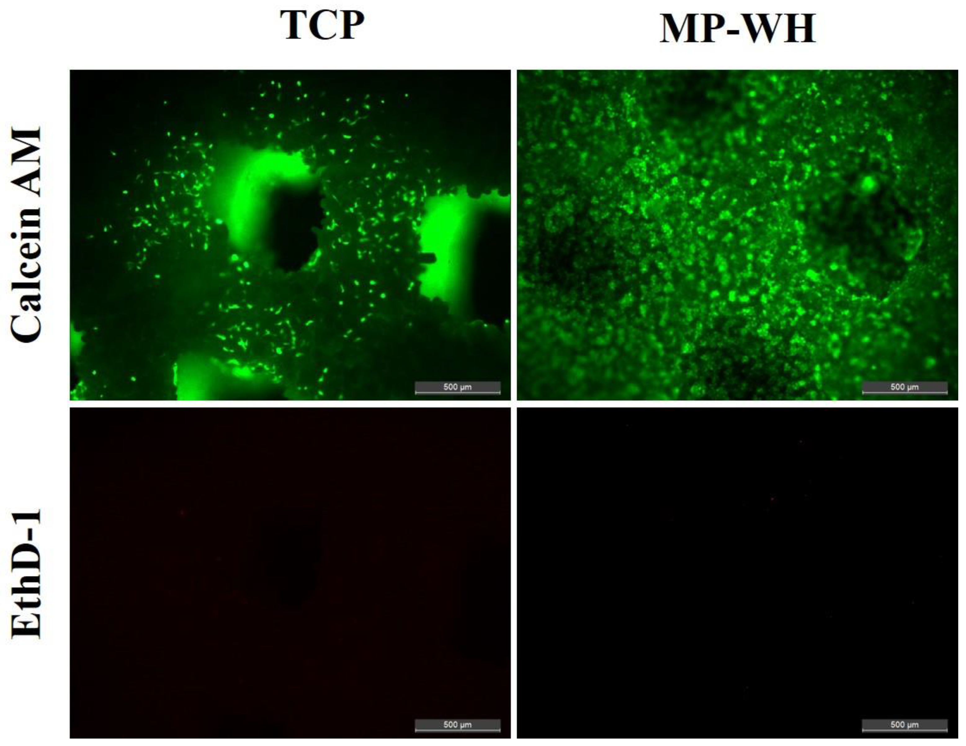 Materials 15 03413 g004