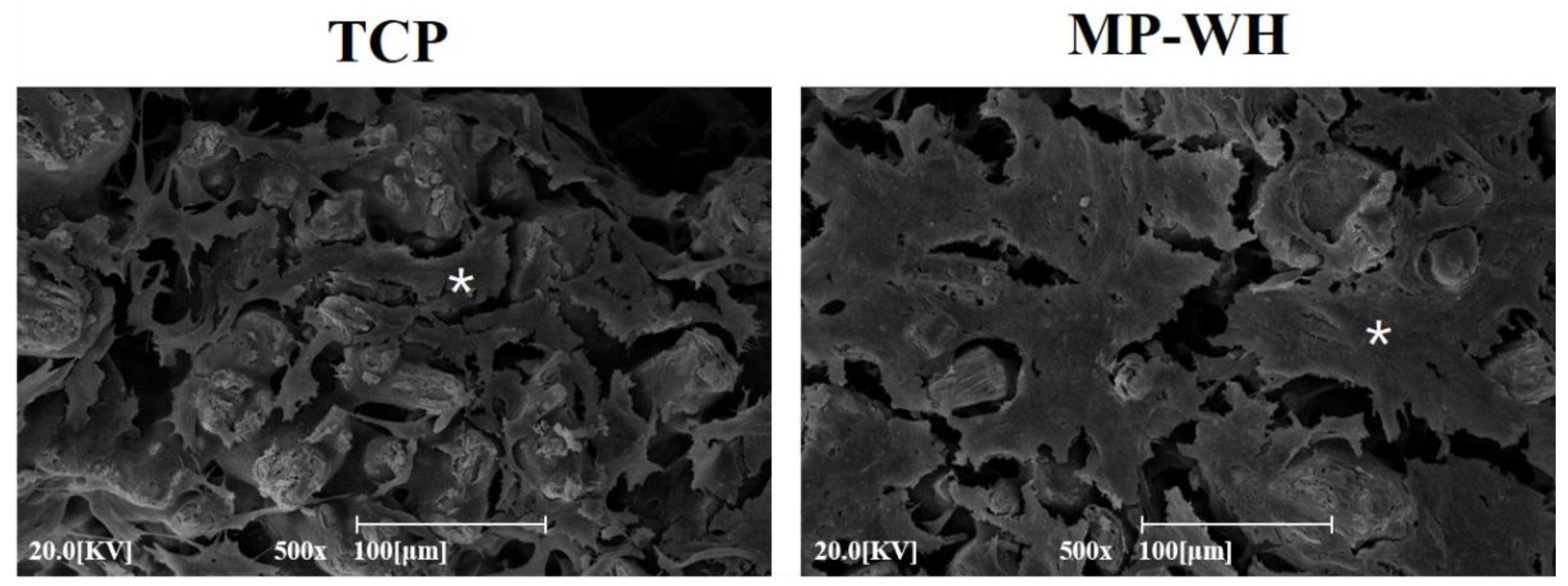 Materials 15 03413 g005